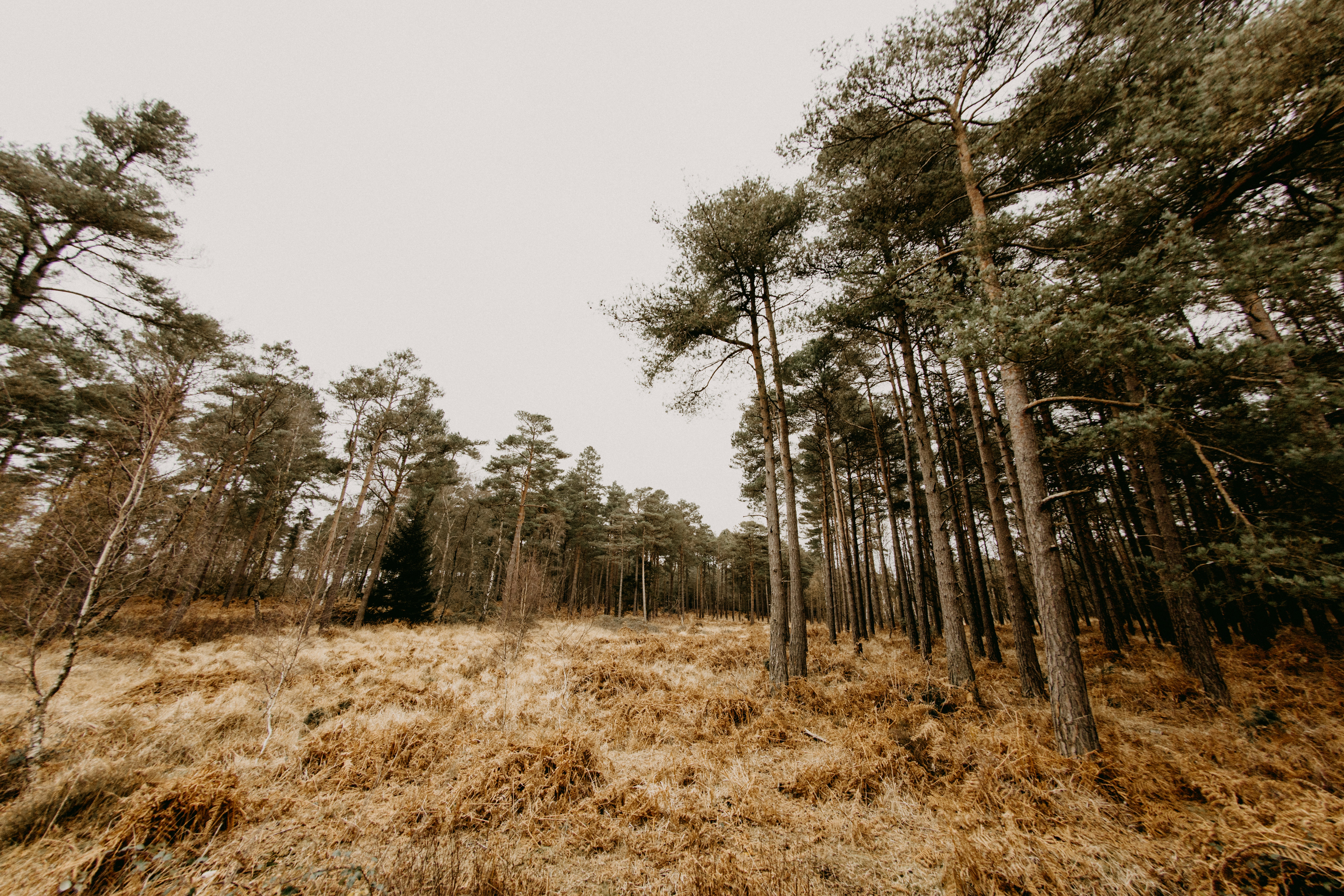 Photo by anniespratt