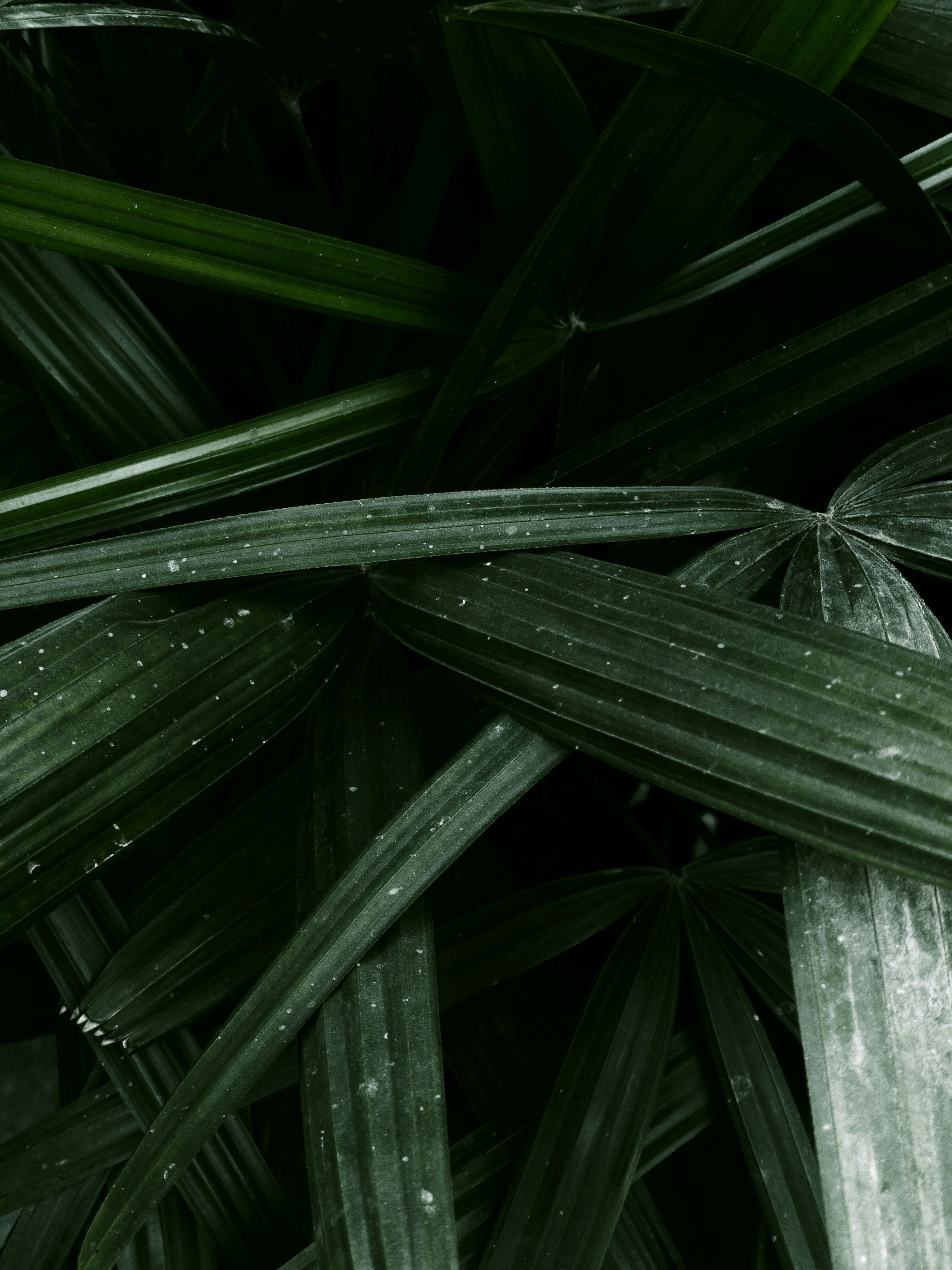 Photo by amritanshdubey