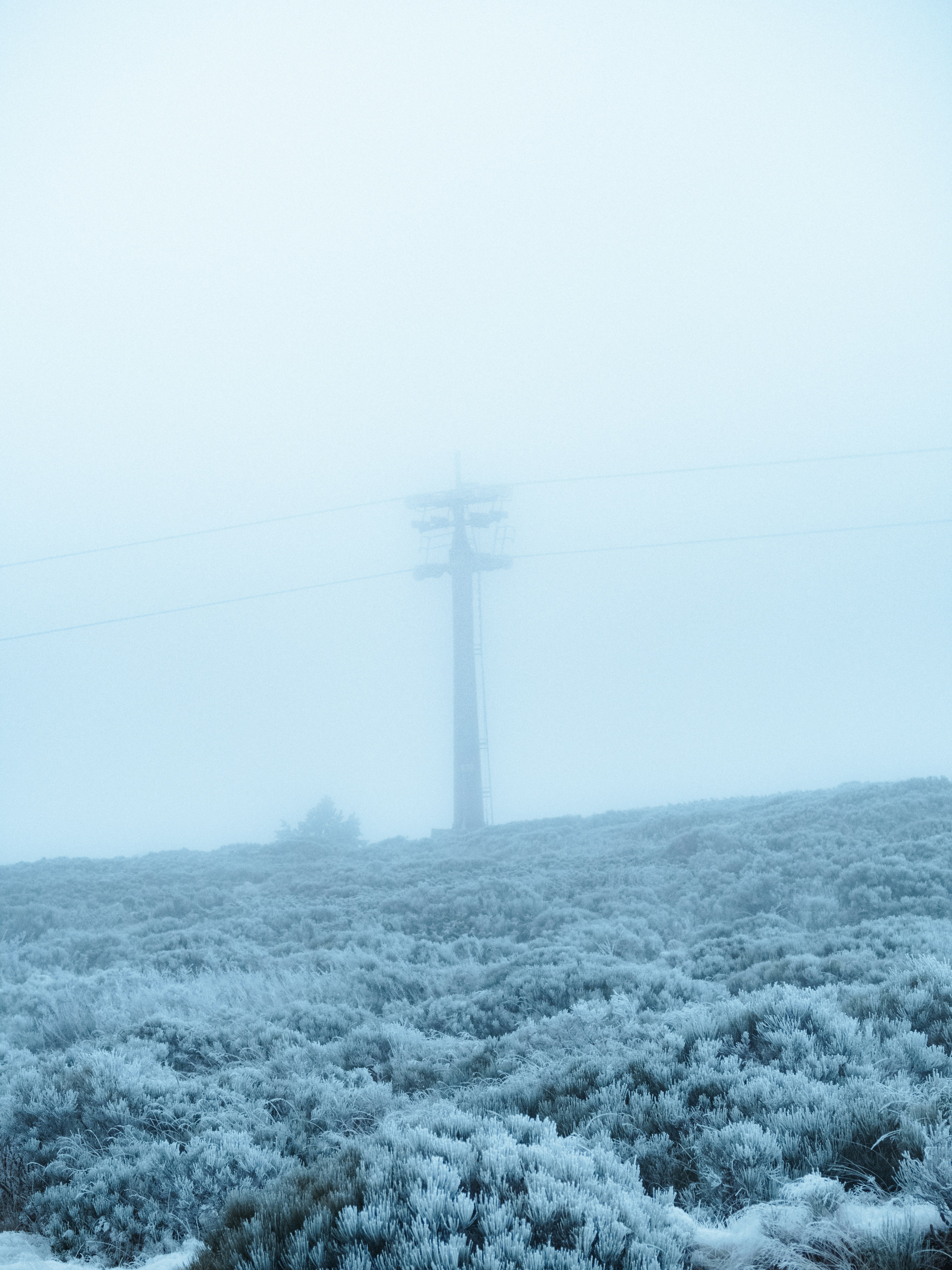 A foggy field with a telephone pole in the distance