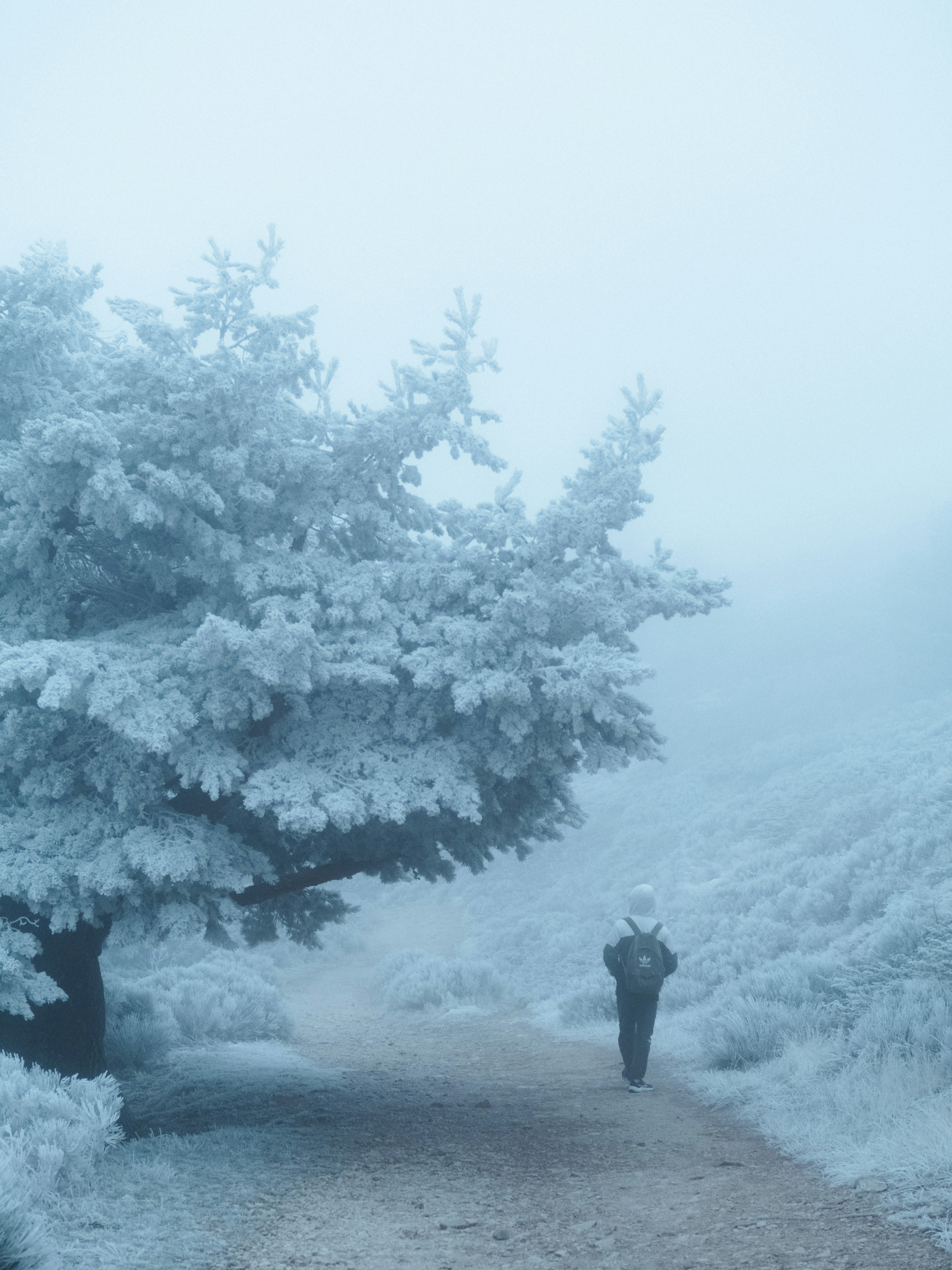 A person walking down a path in the snow