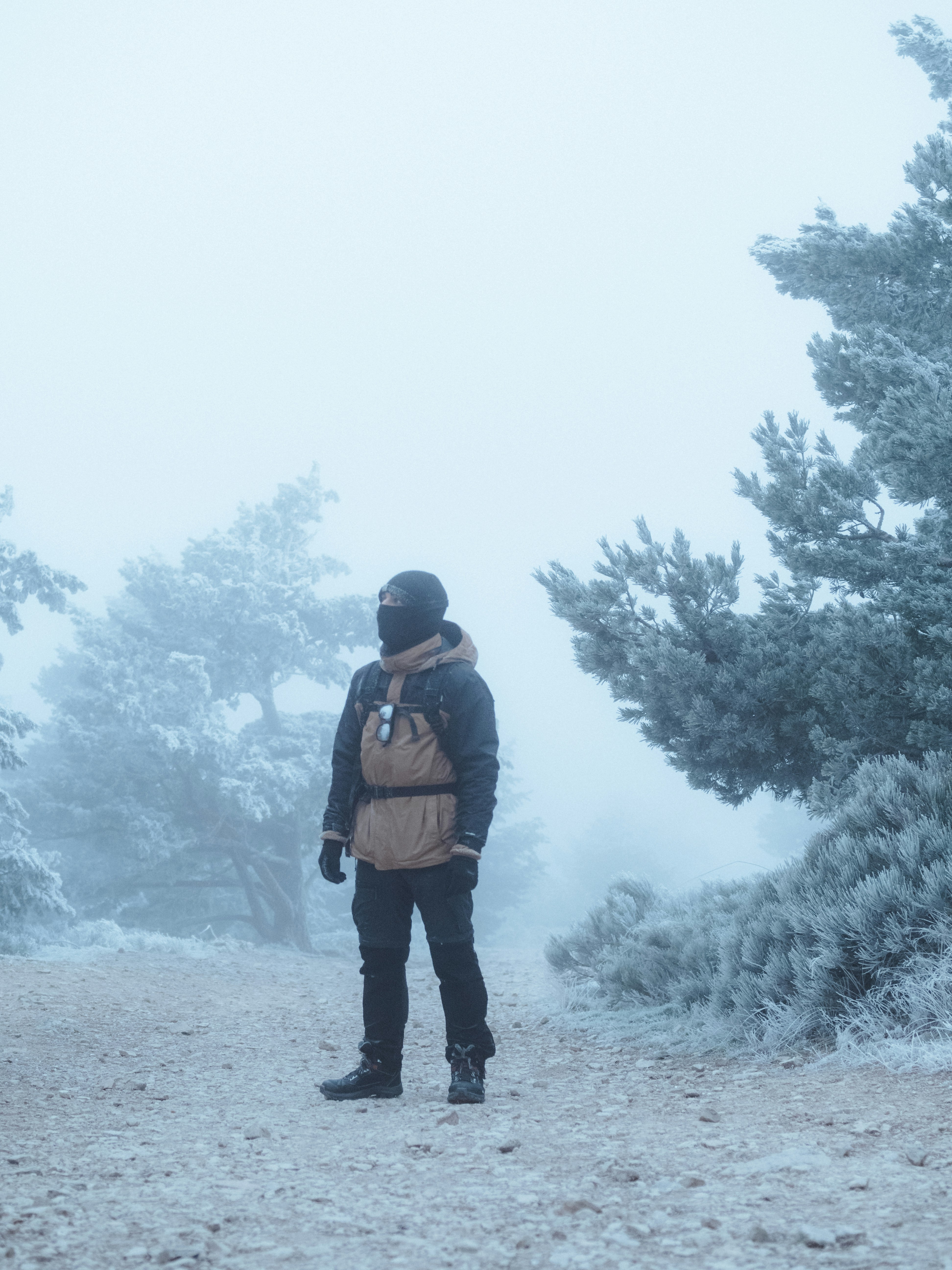 A person standing on a road in the snow
