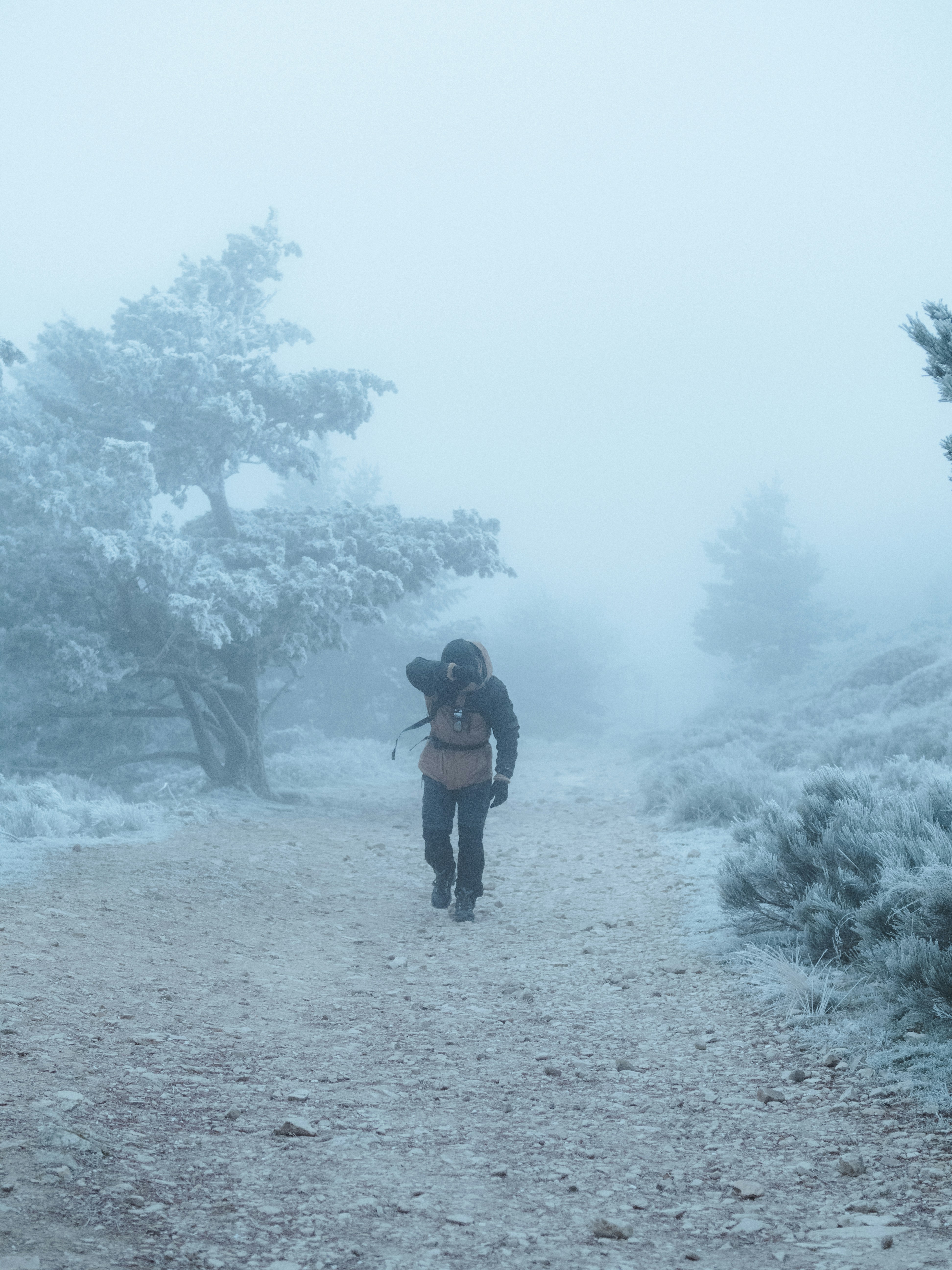 A person walking down a path in the snow