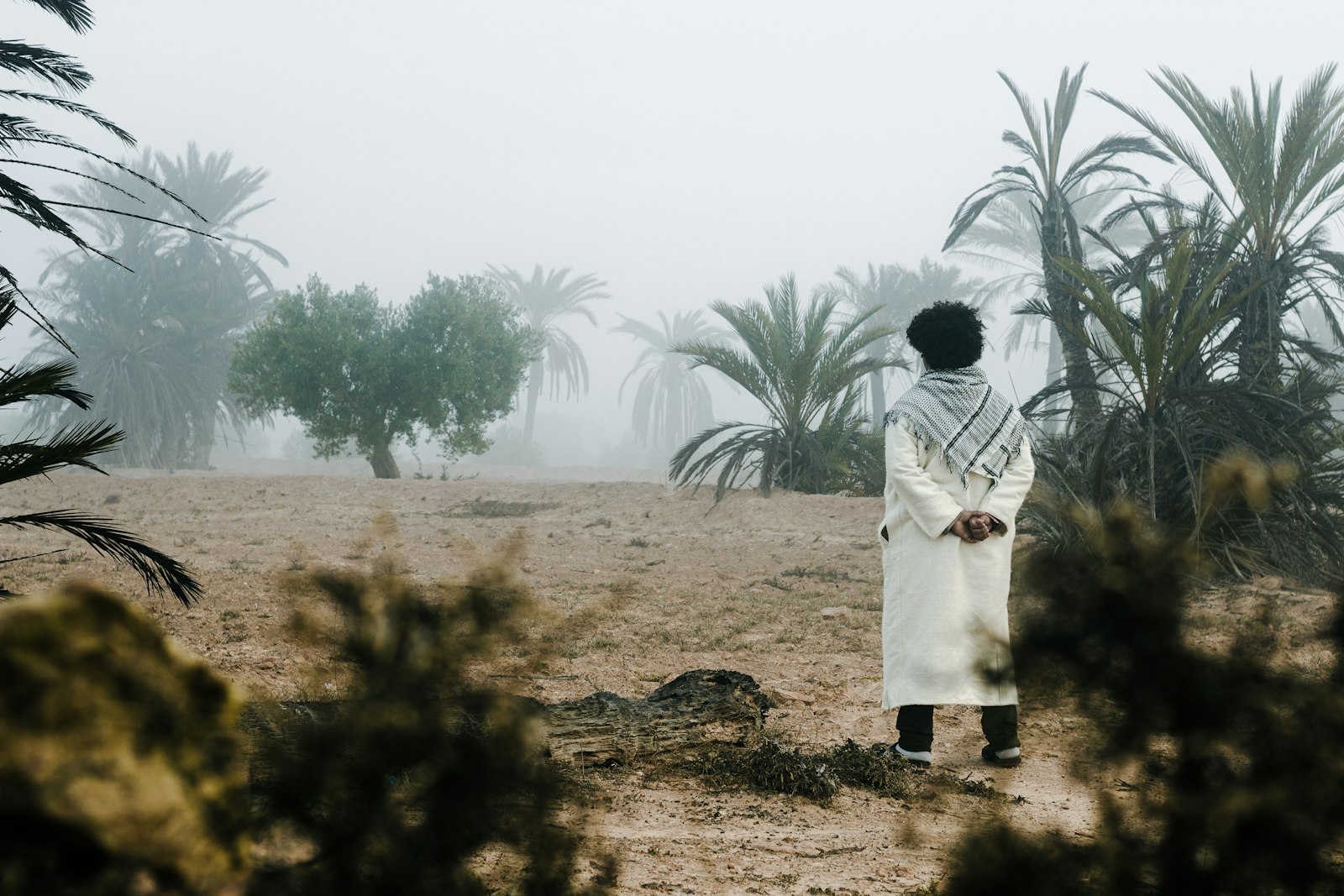 Entre Culture, Désert et Oasis