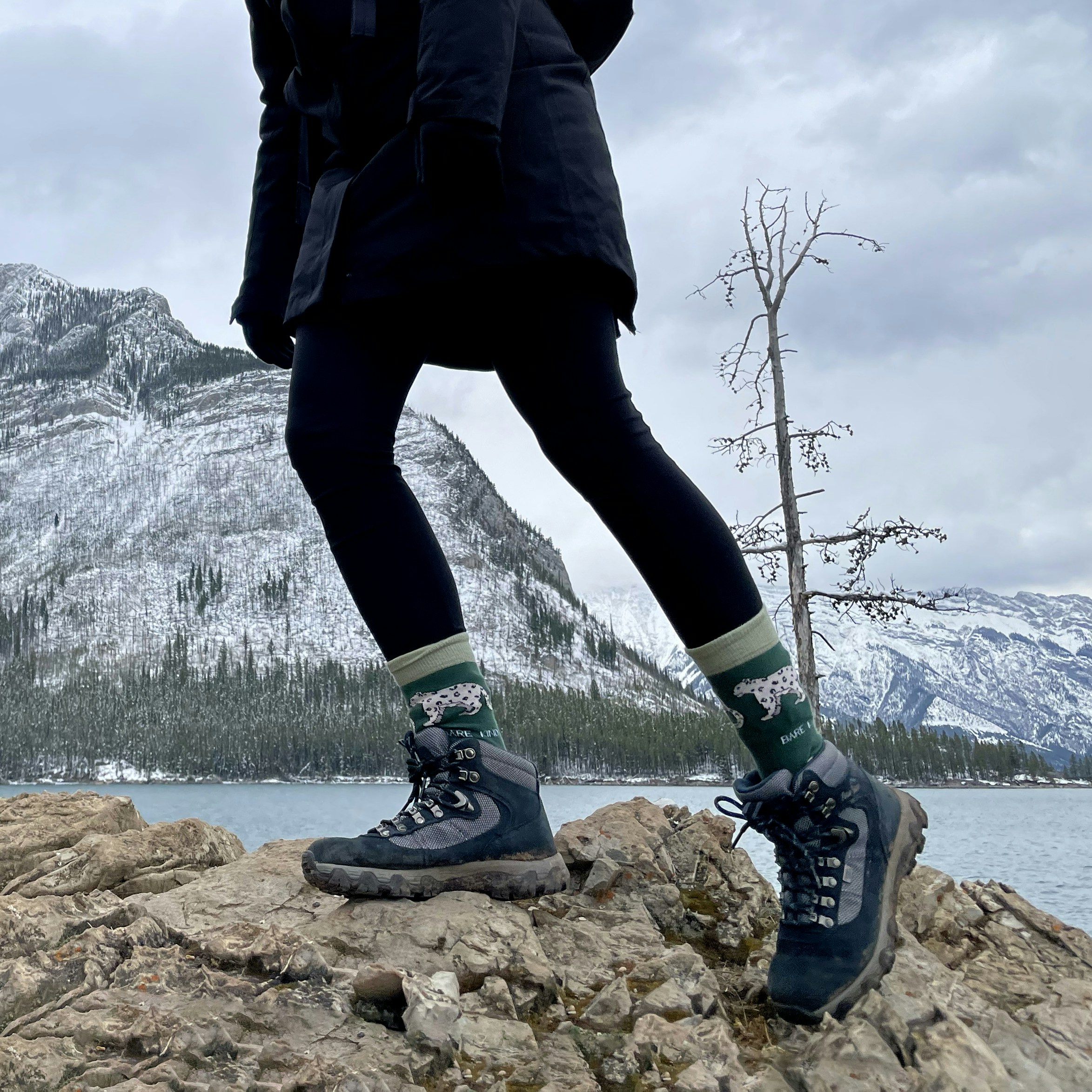 High-Quality Merino Wool Crew Socks (3-Pair Set)