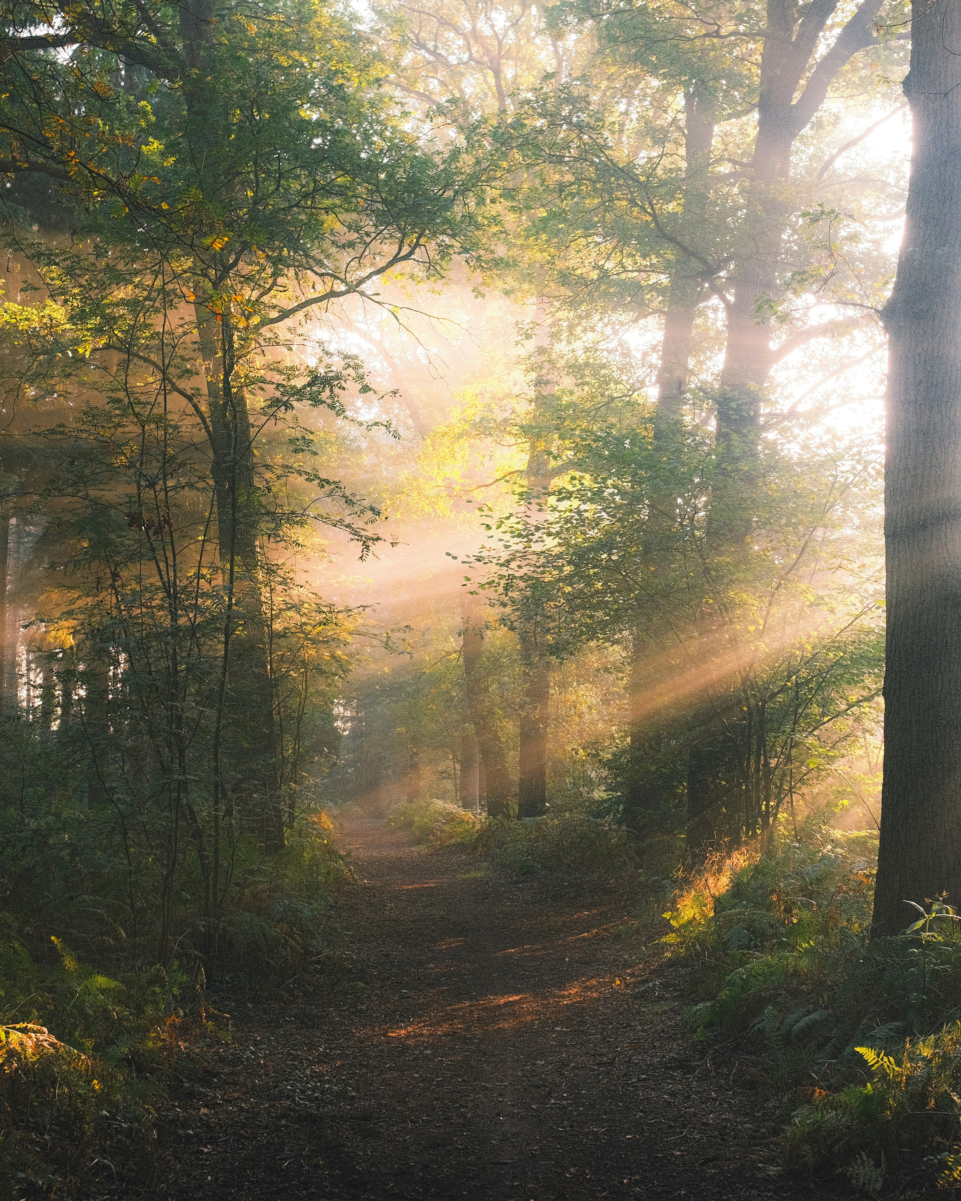 Photo by visualsbying