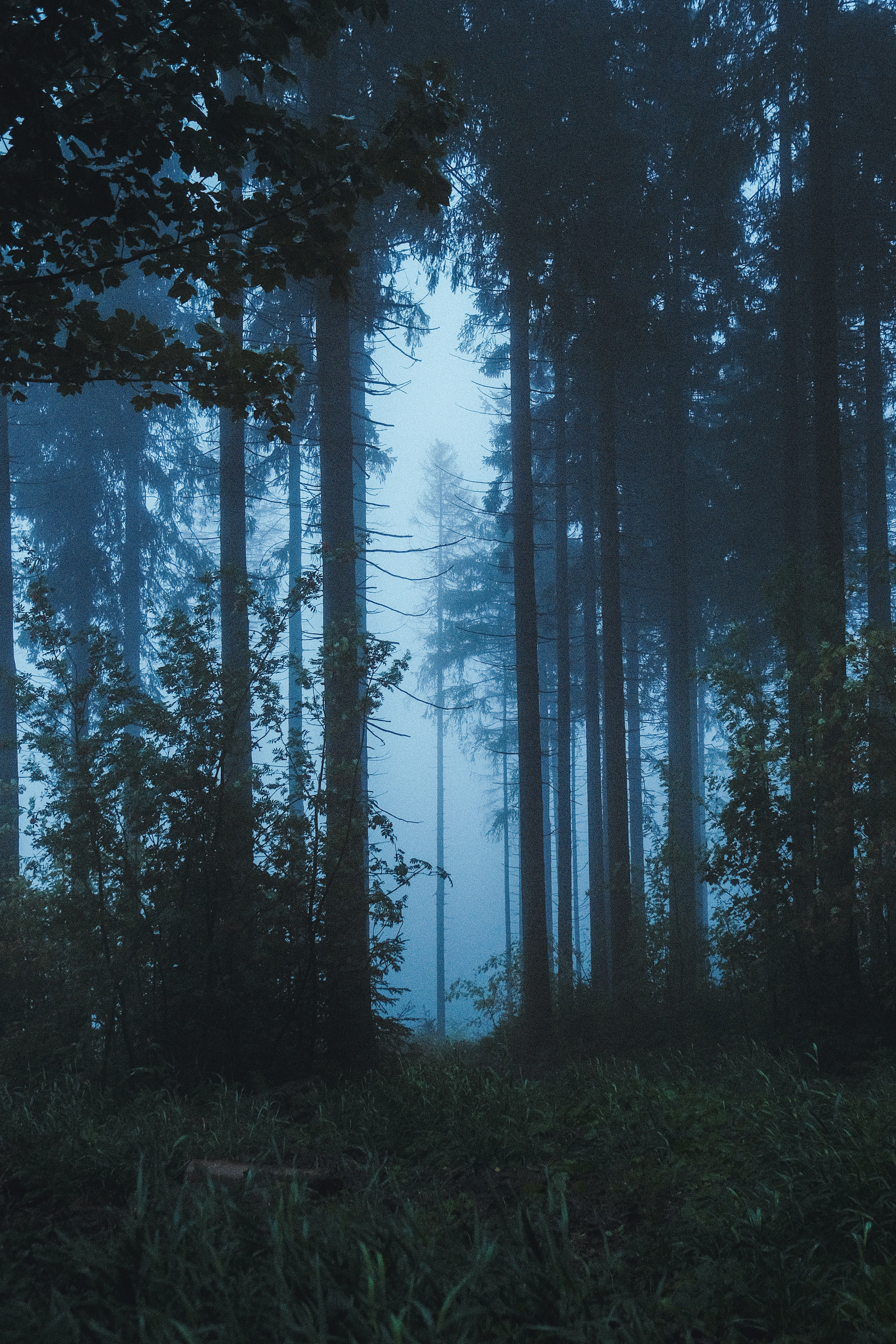 Photo by visualsbying