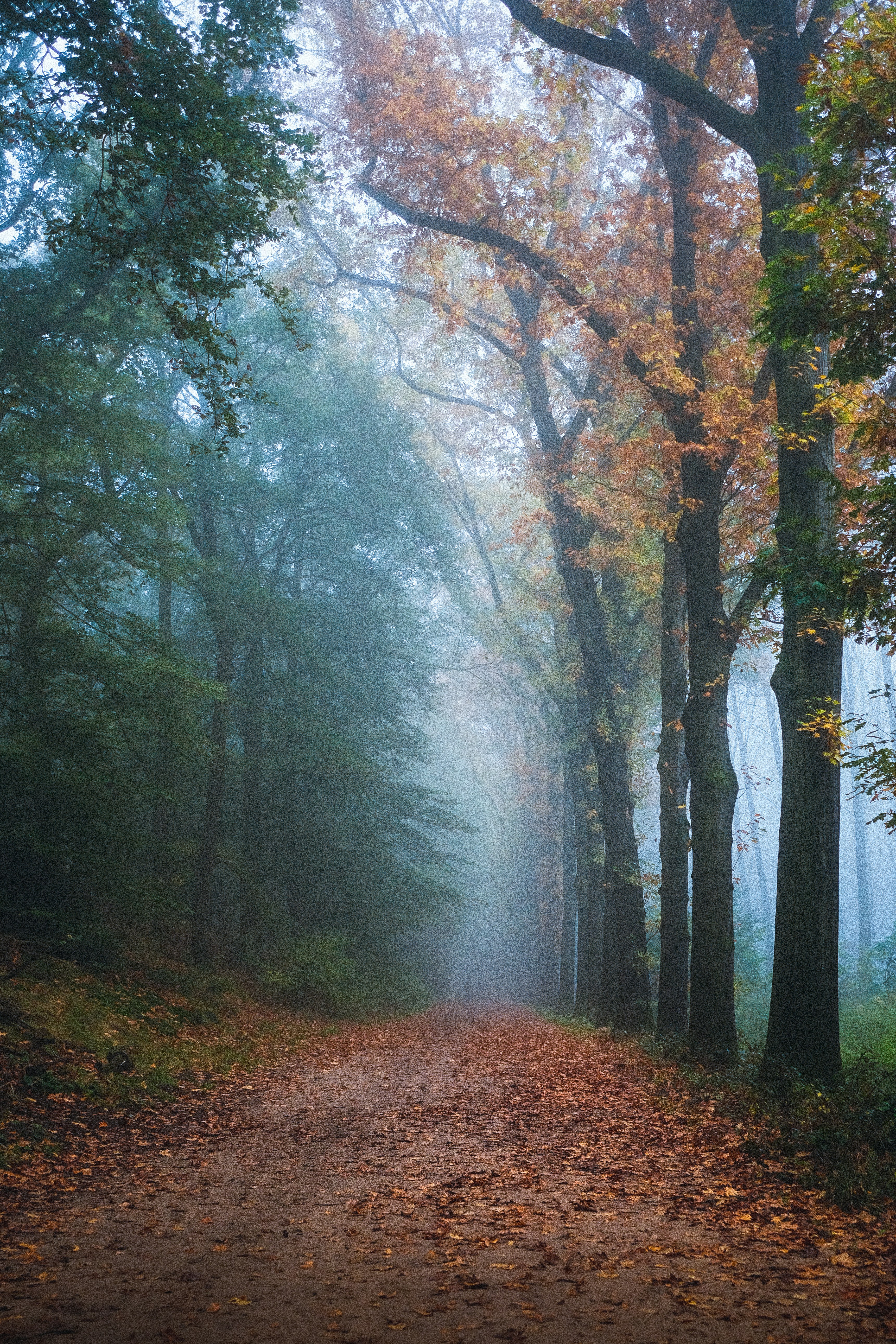 Photo by visualsbying