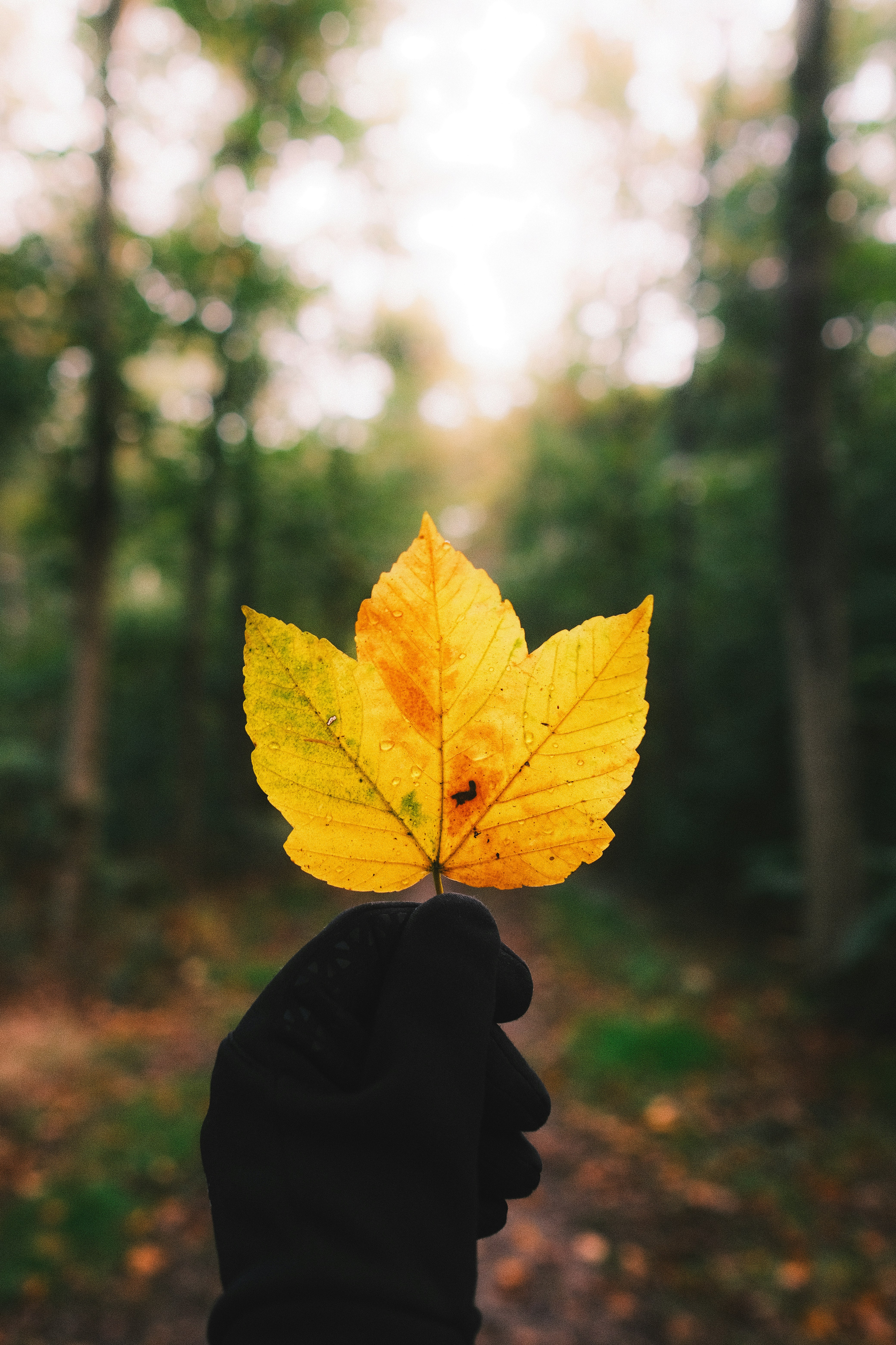 Photo by visualsbying