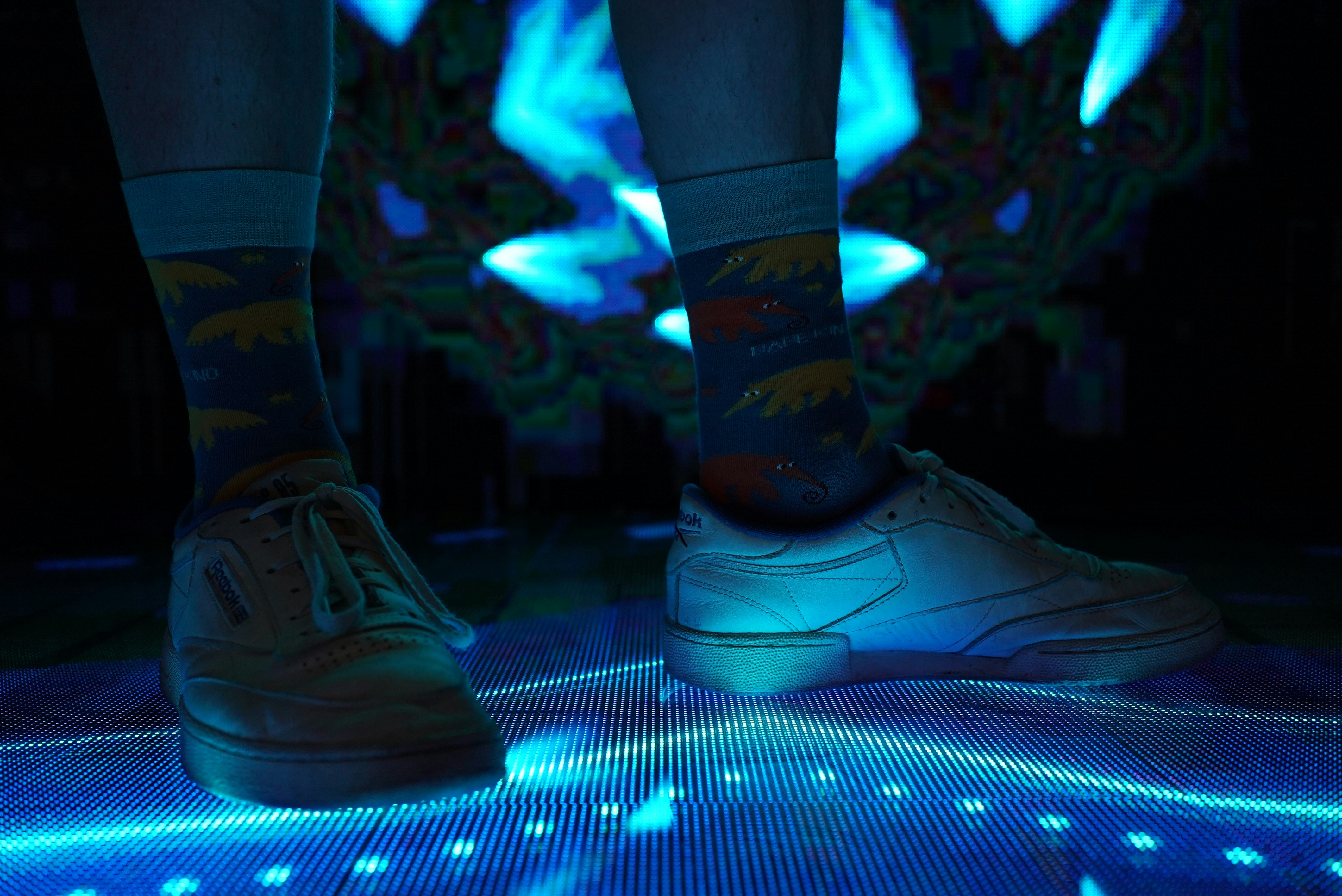 Image de Septembre 2025 : découvrez les temps forts électro à travers la France