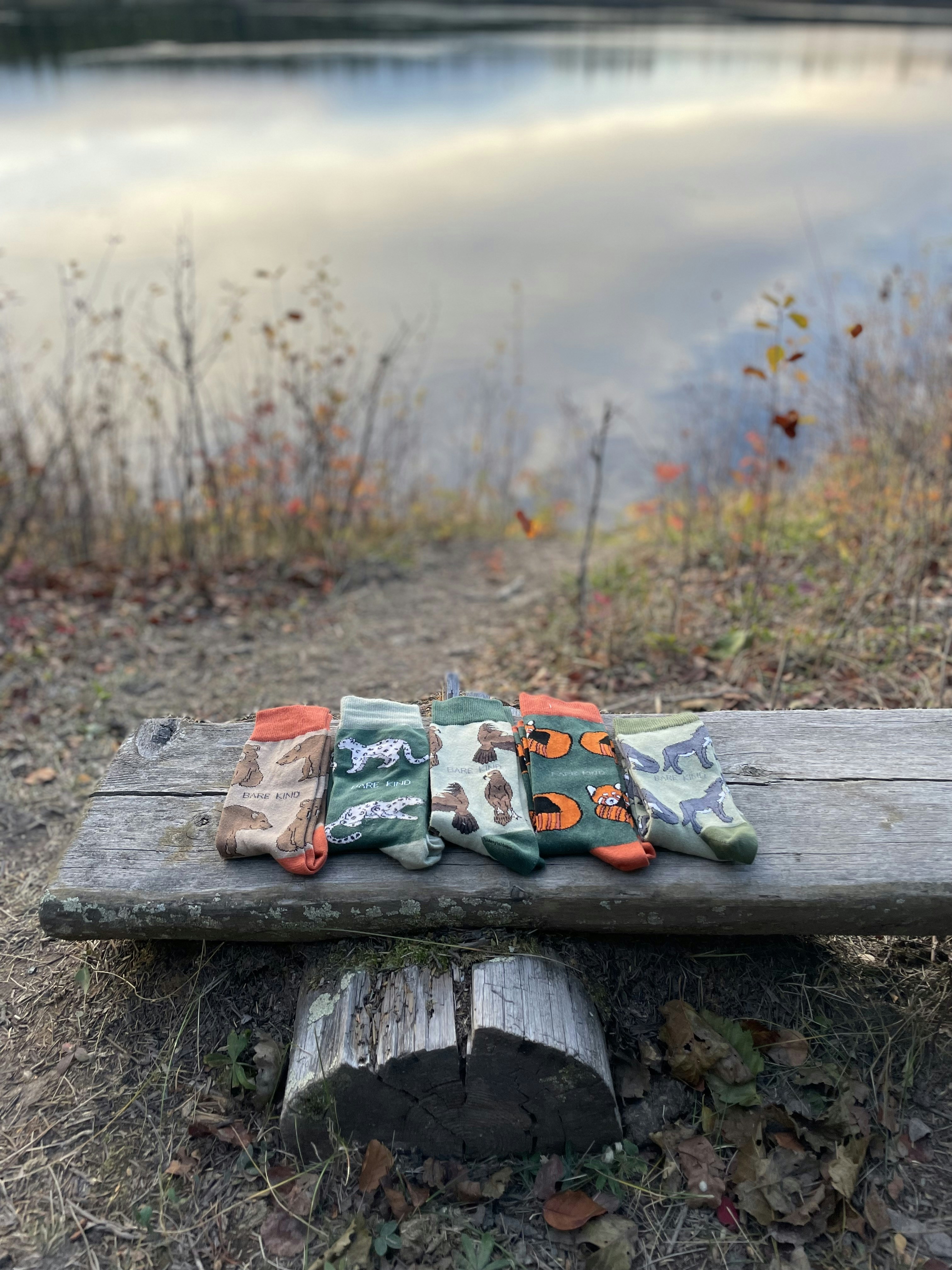 7 First Aid Essentials Every Nature Camping Kit Should Have