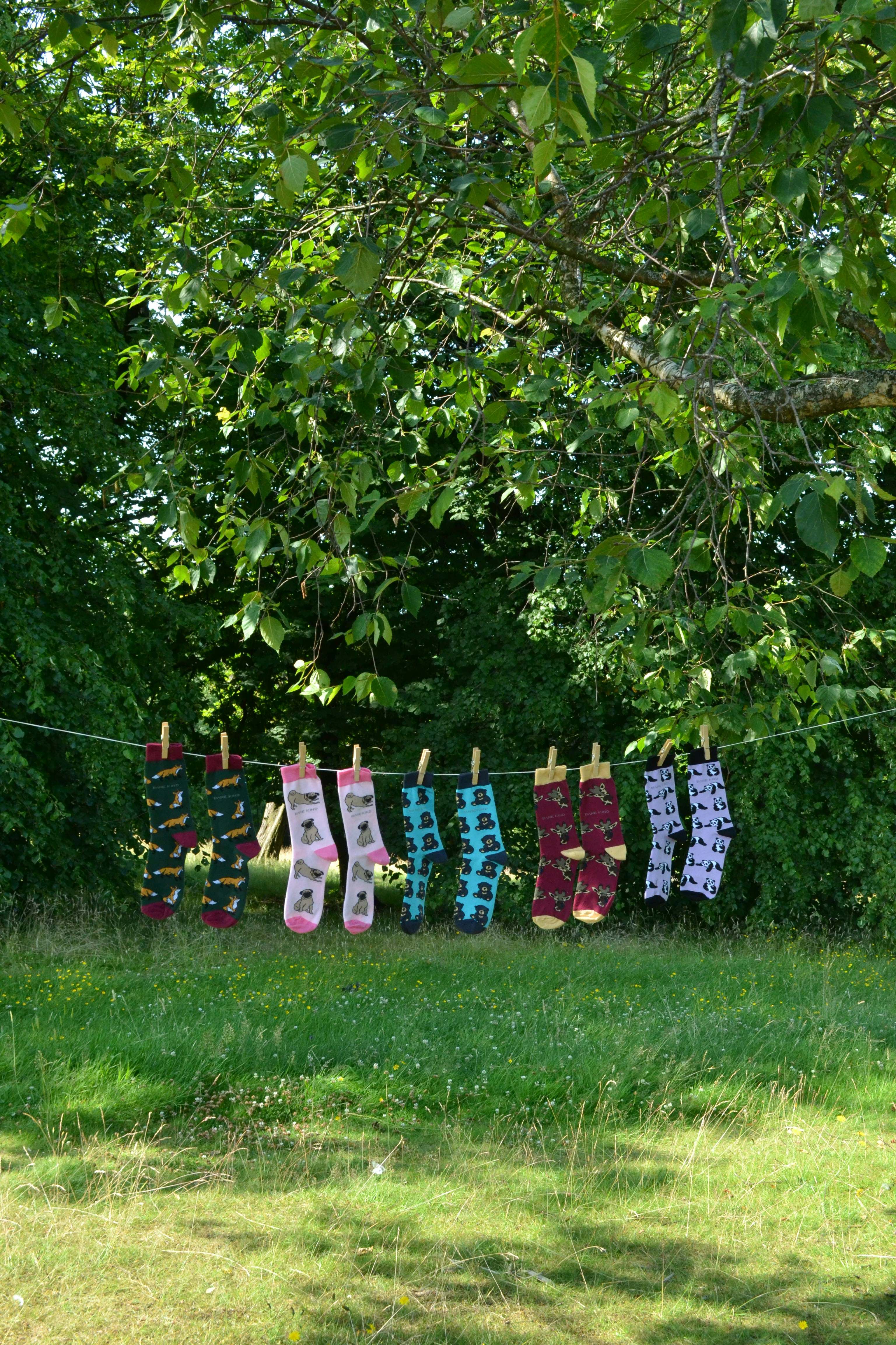 colorful socks flat lay, wallpaper, Socks and Style: Choosing the Right Socks for Aesthetics 5