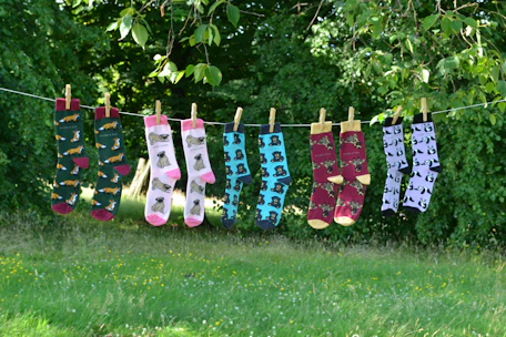 A line of socks hanging from a clothes line
