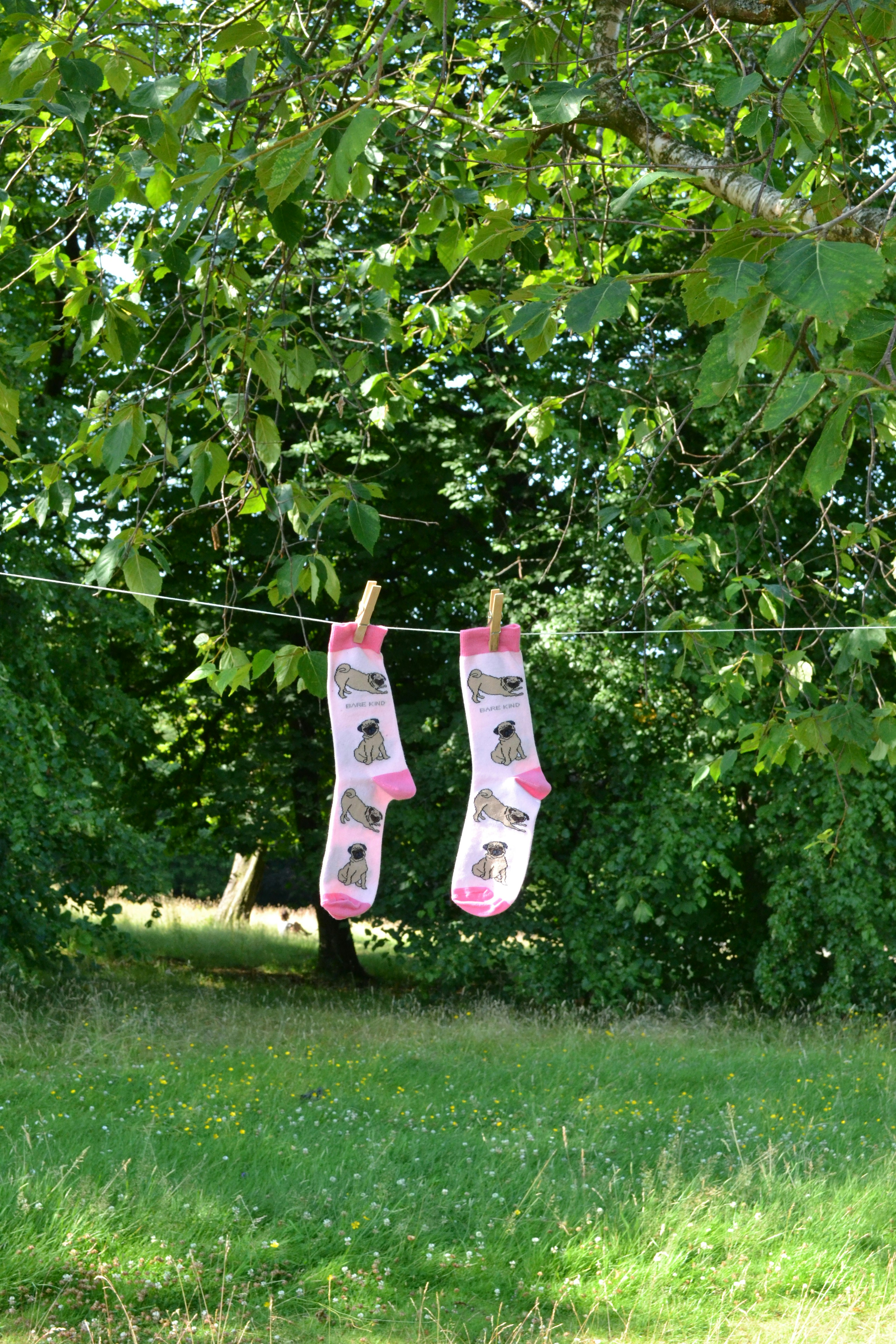 Photo by barekind_bamboo_socks