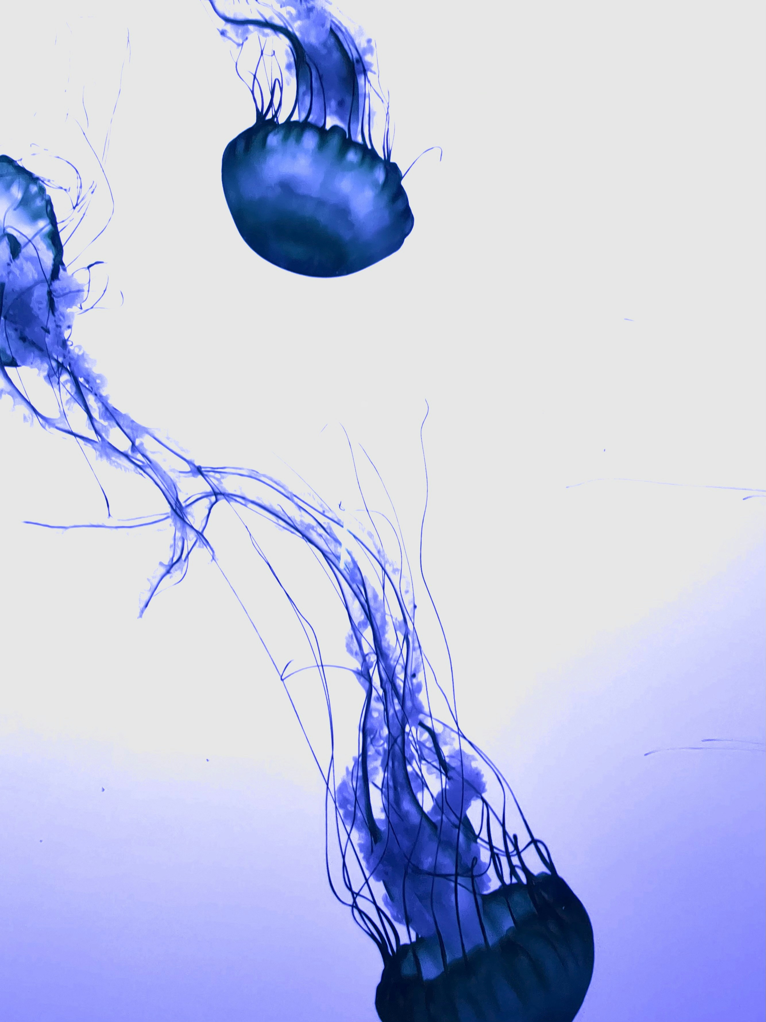 Photo by james_j0220