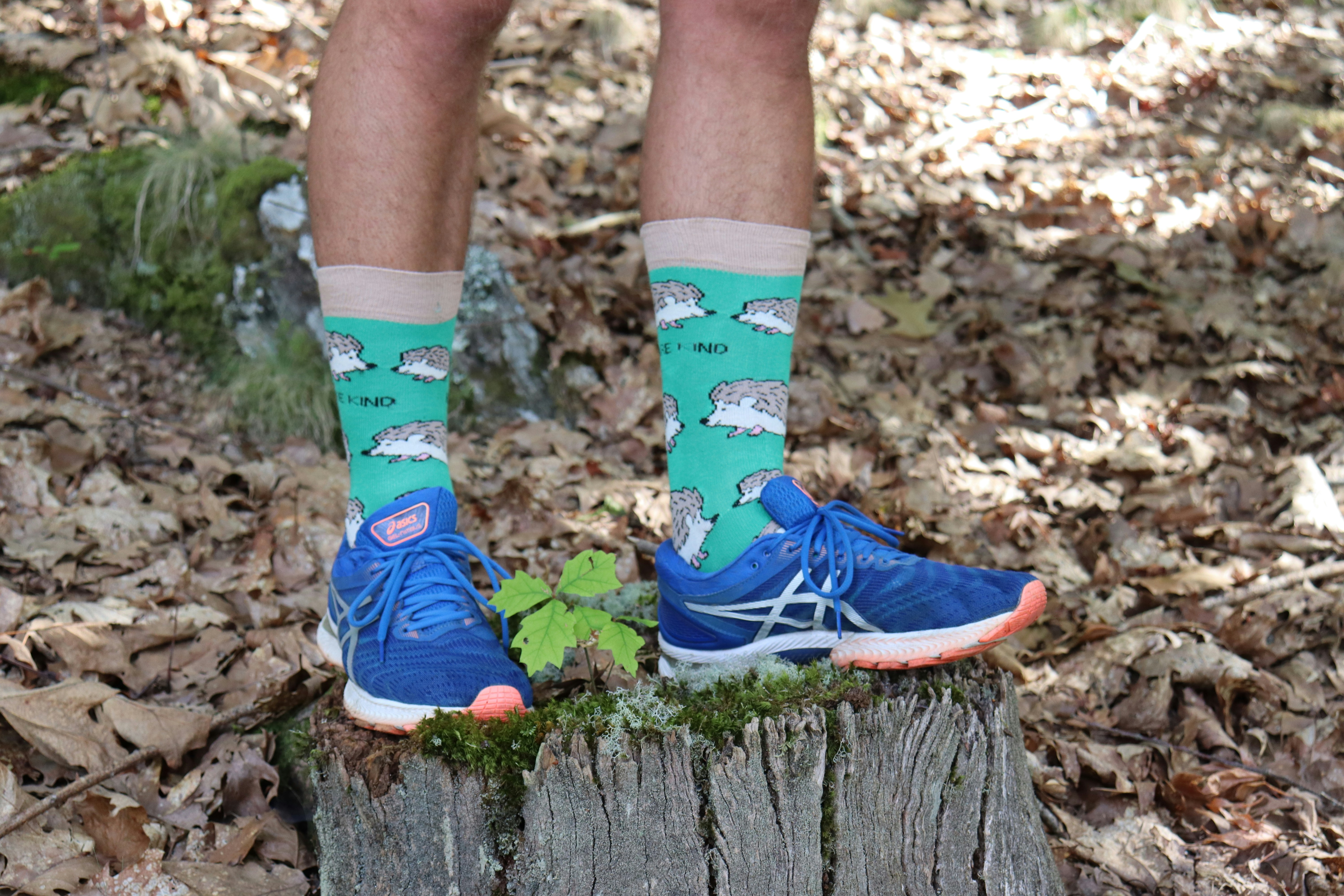 A person standing on top of a wooden stump