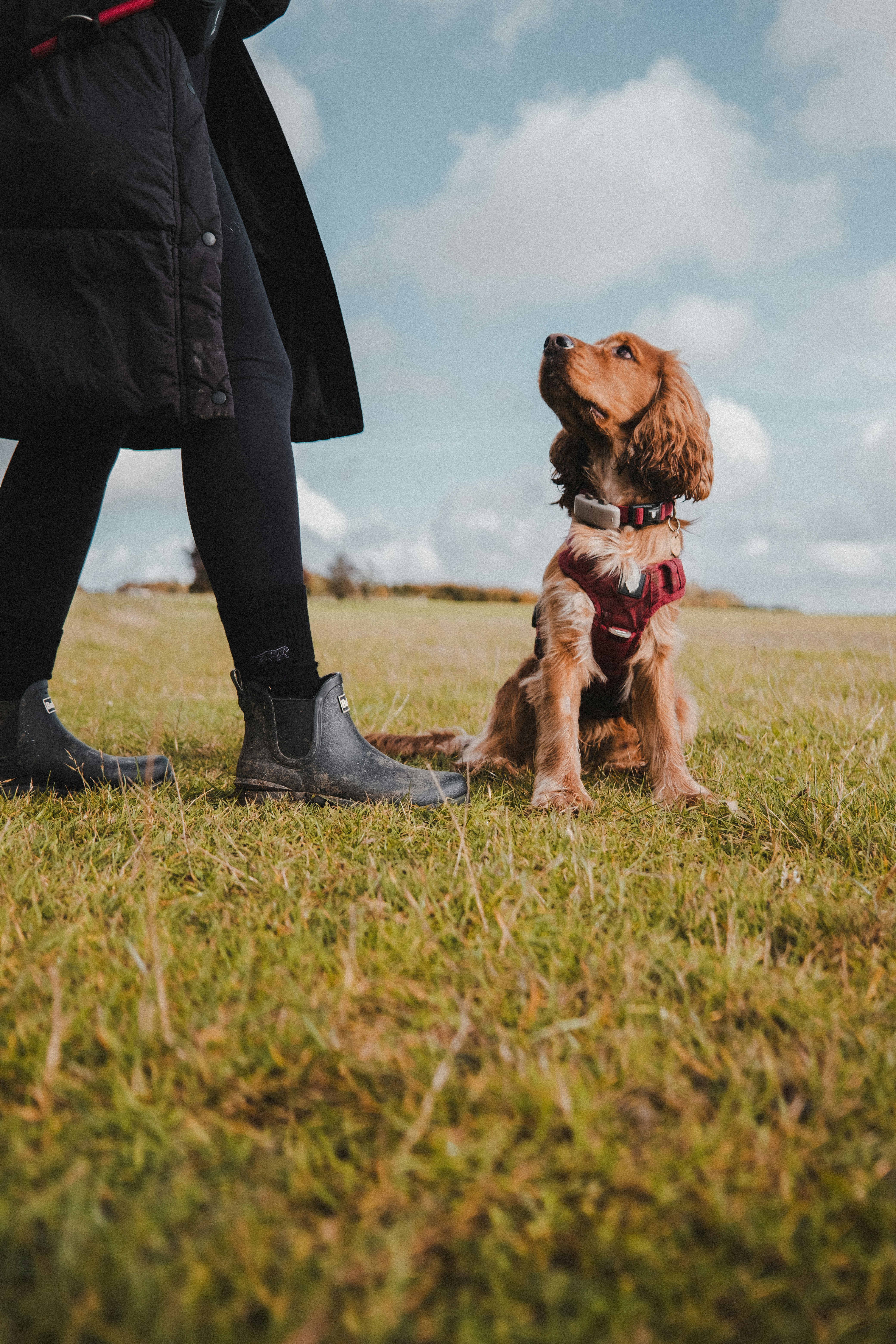 Photo by barekind_bamboo_socks