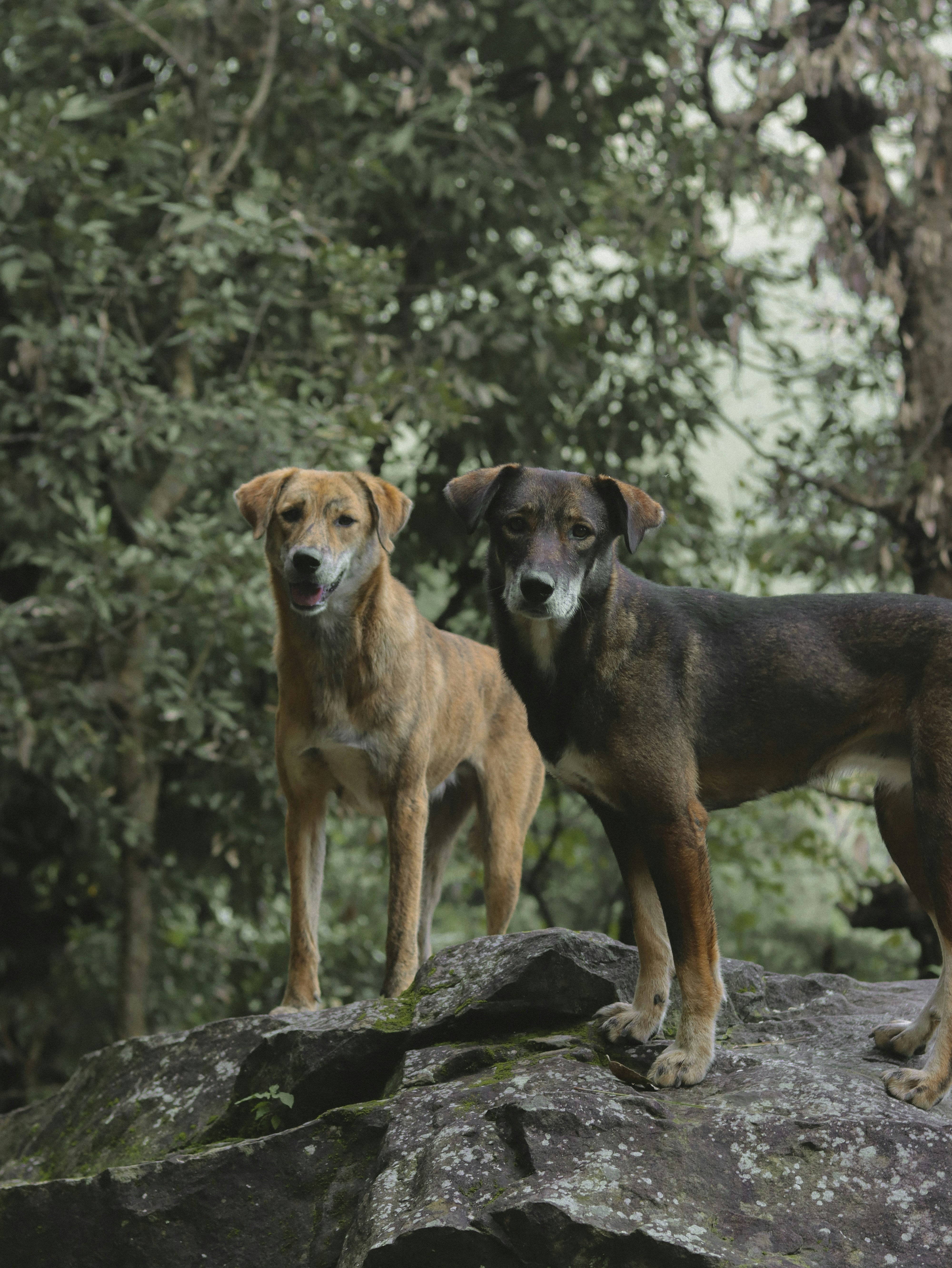 Photo by devinthewild