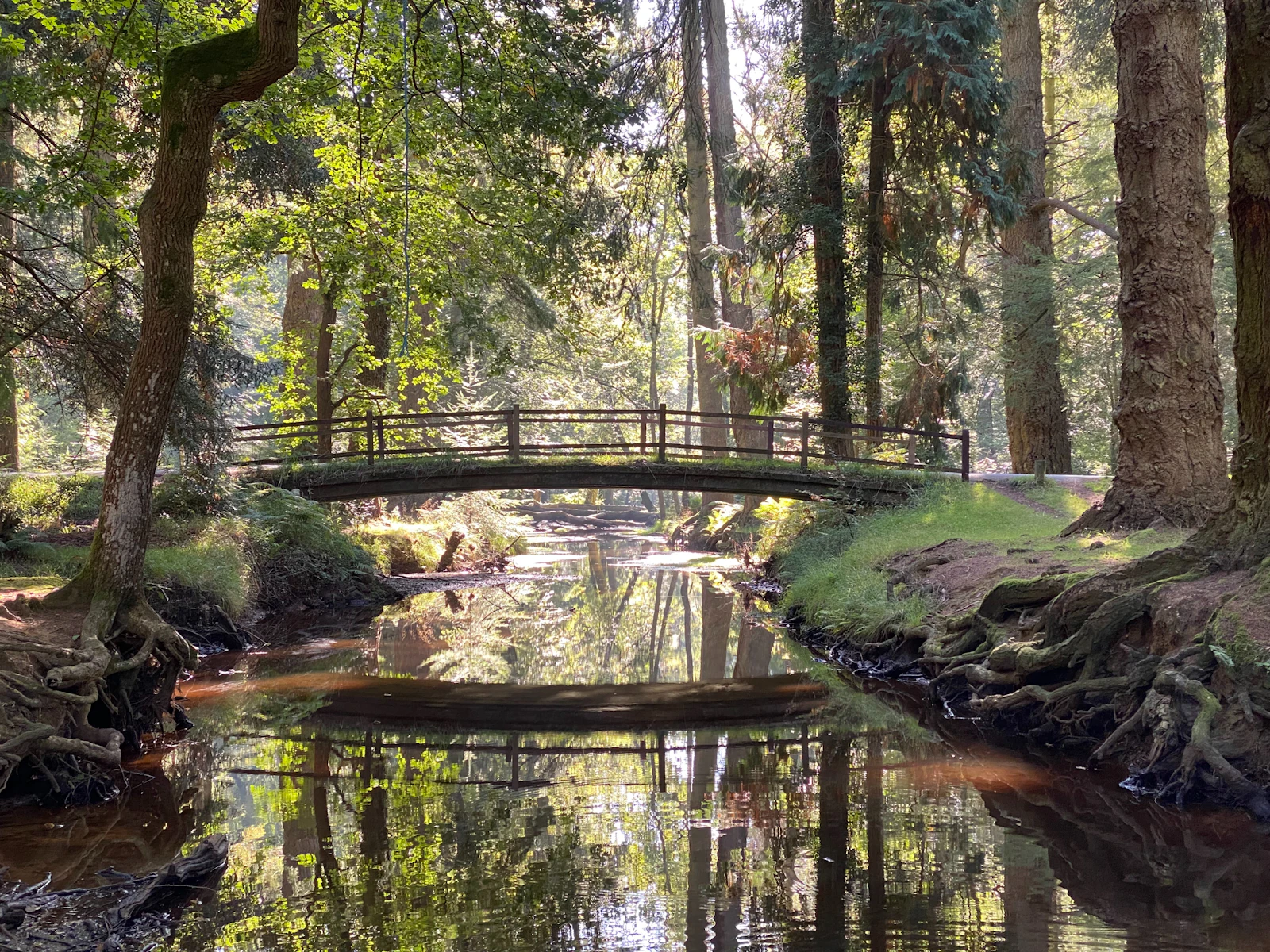 Photo of Brockenhurst