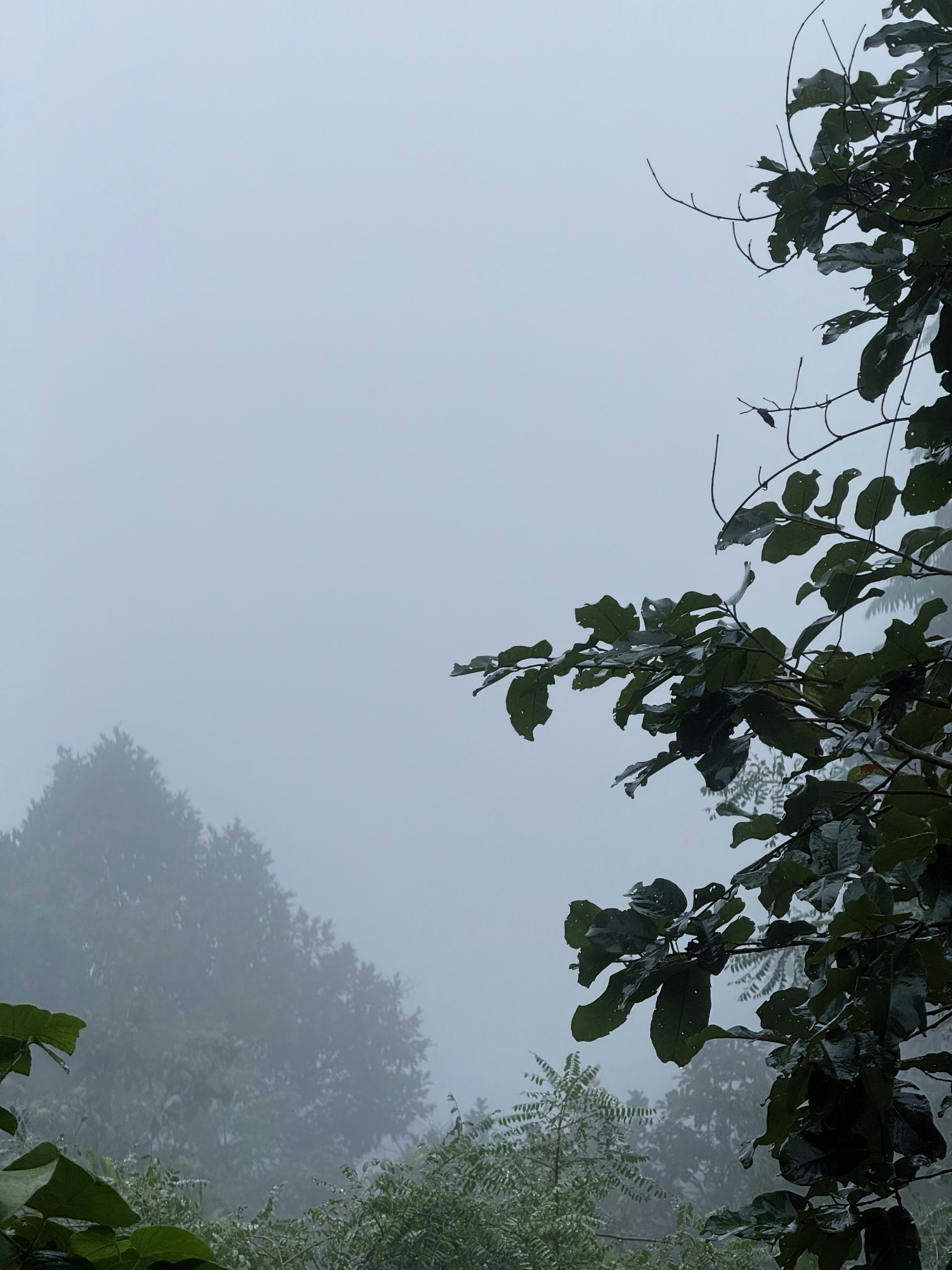 Photo by theshubhagrwl