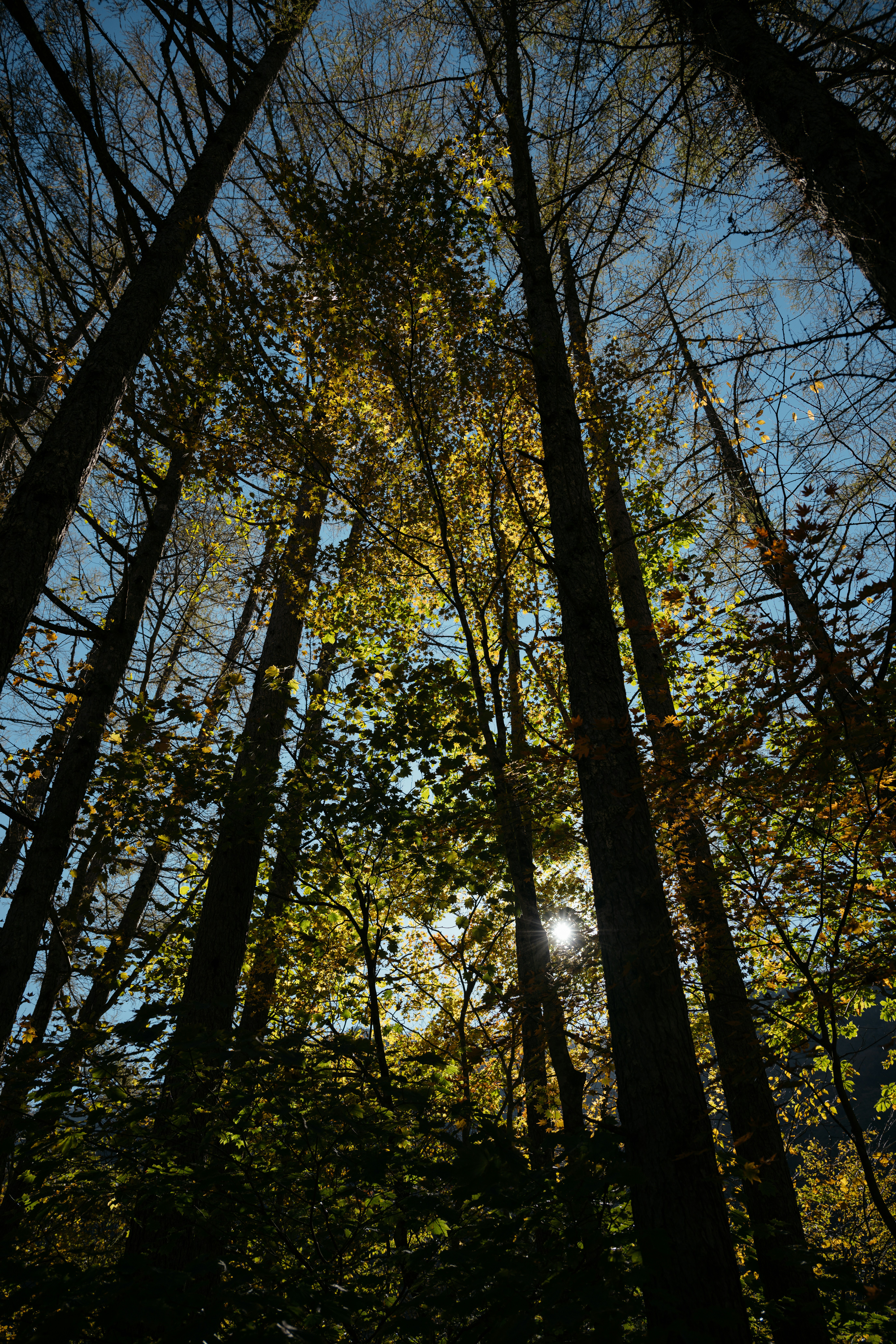 Photo by blue_hamberts