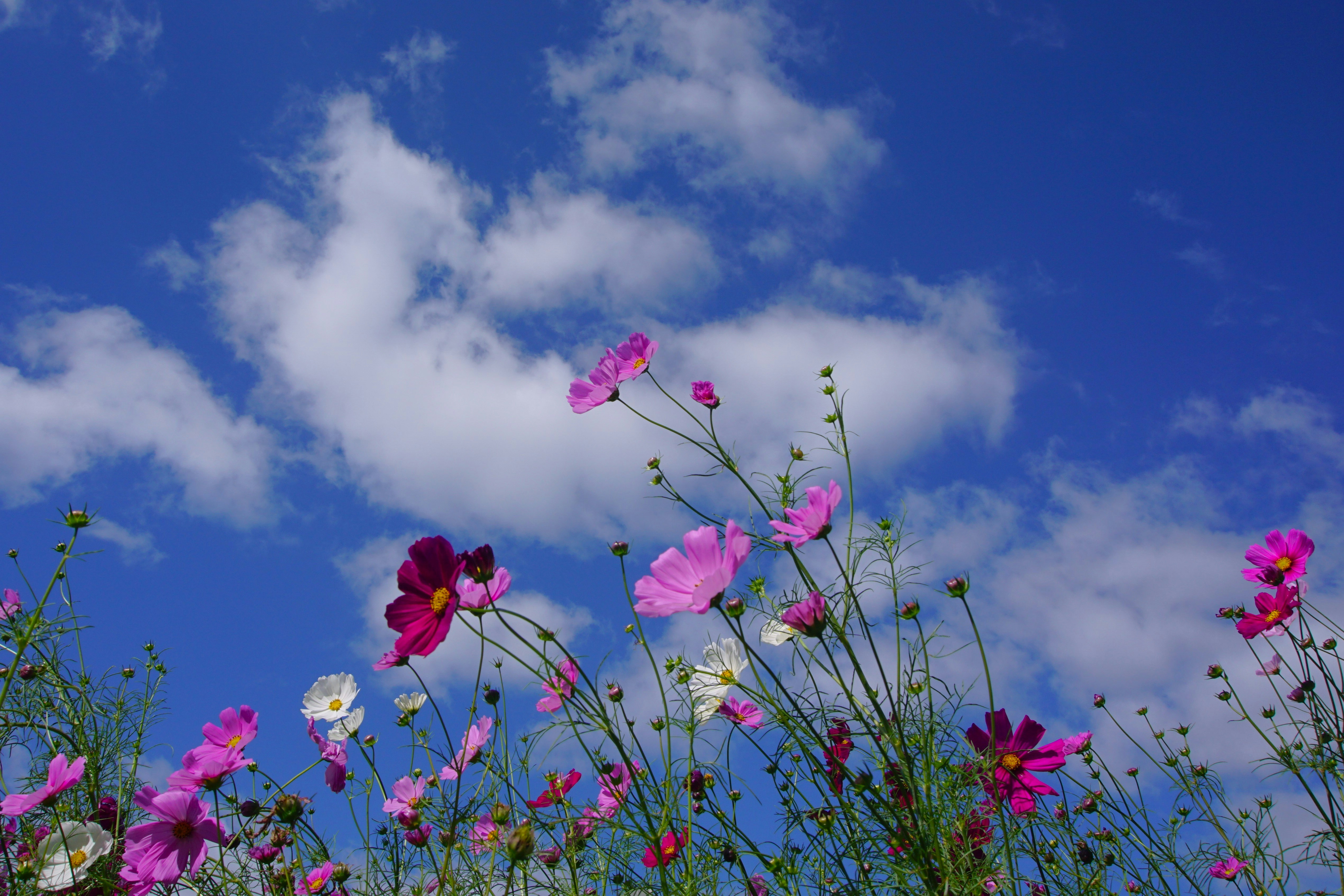 Photo by syadzasalsabyla