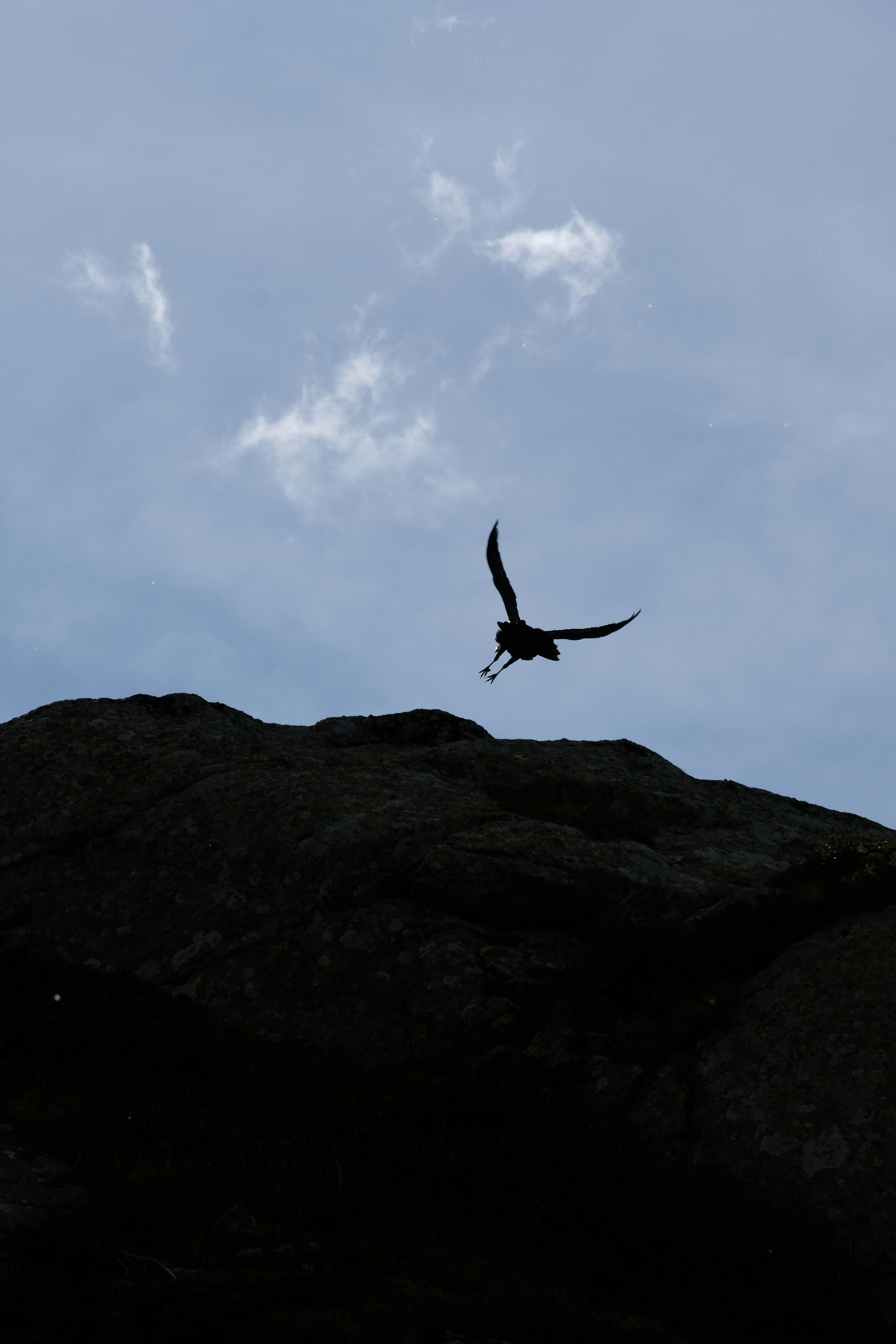 A bird flying in the sky over a mountain