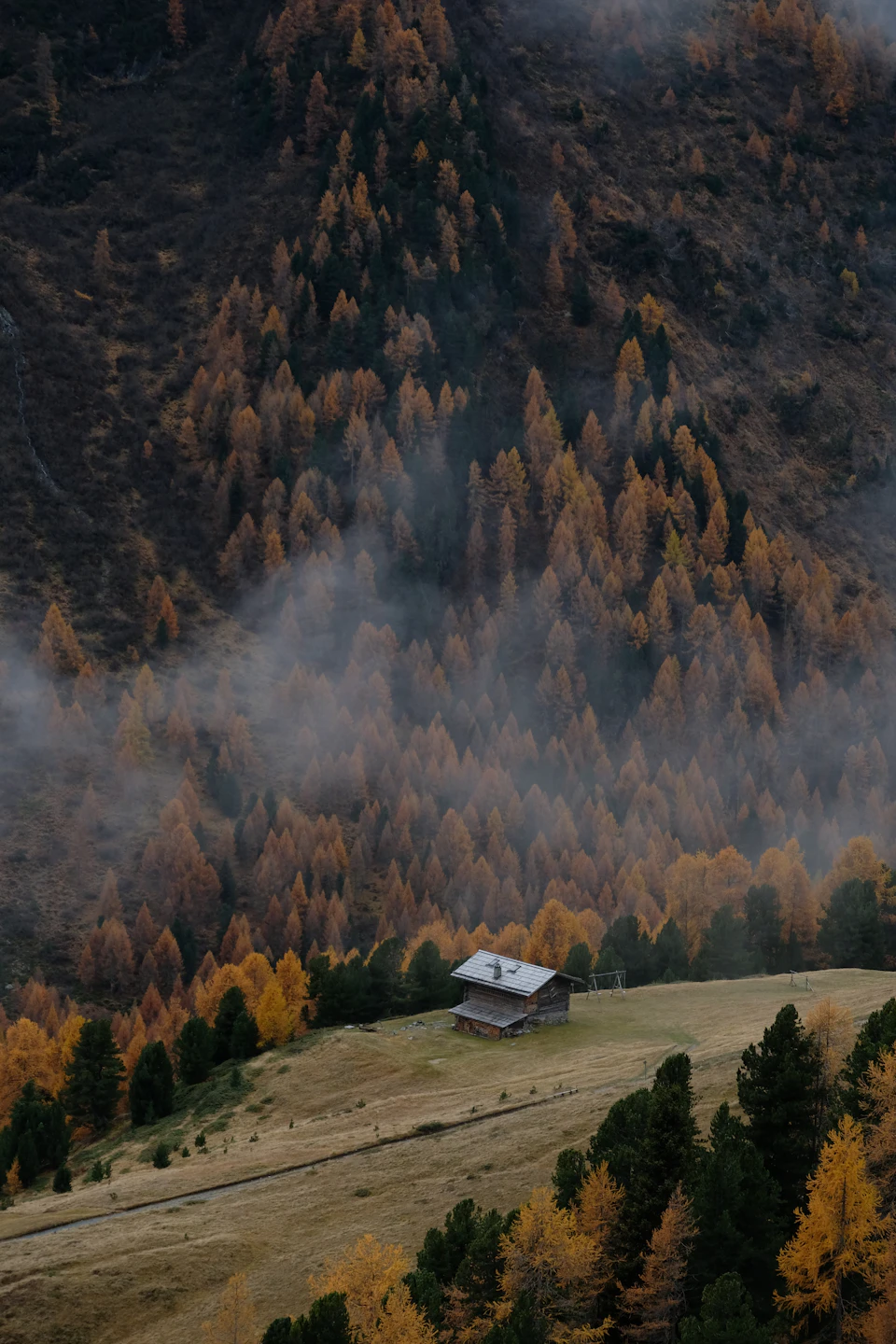 Serene mountain landscape with small wooden cabin on hilltop surrounded by lush green forest