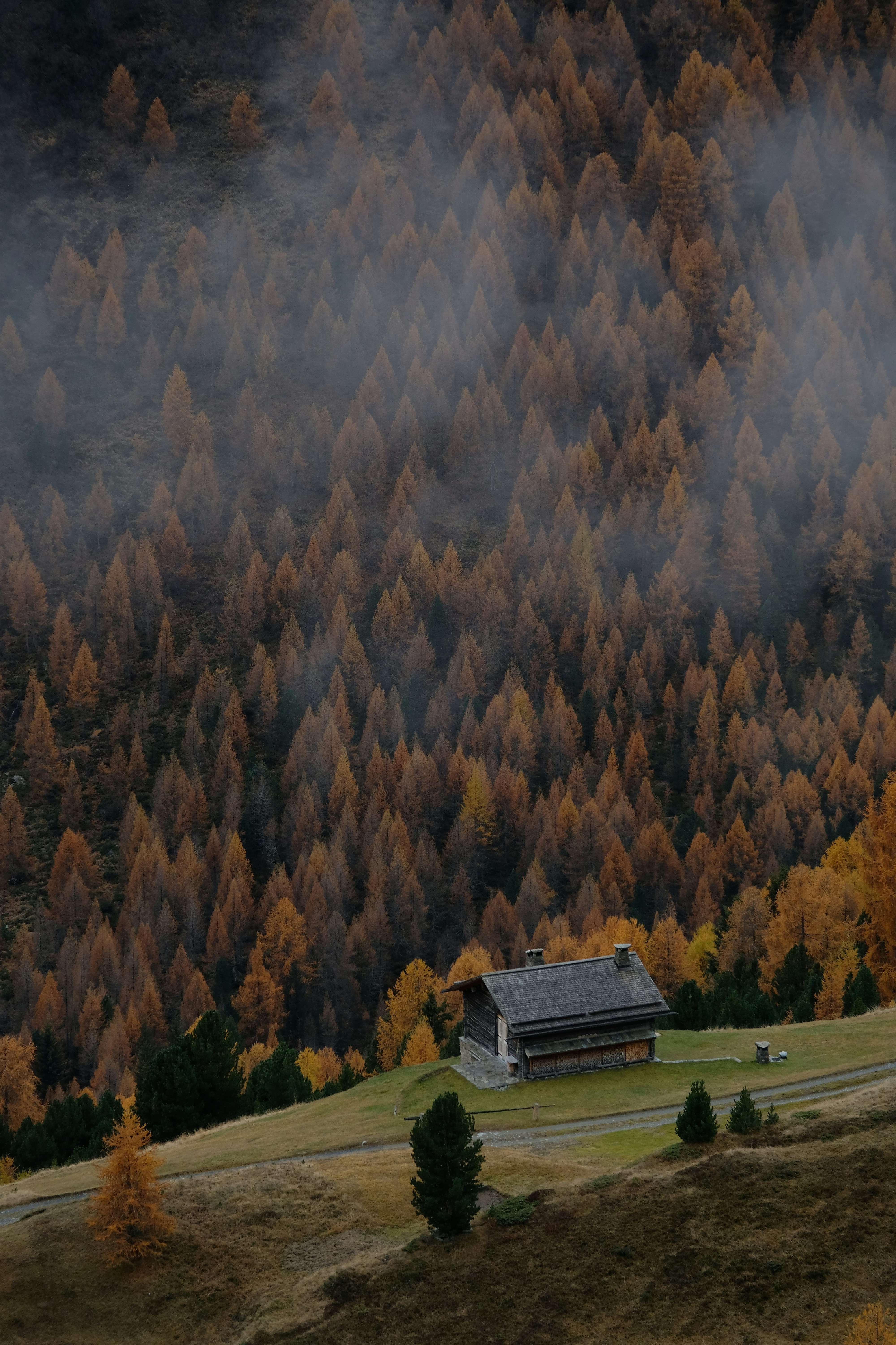 A house in the middle of a field surrounded by trees