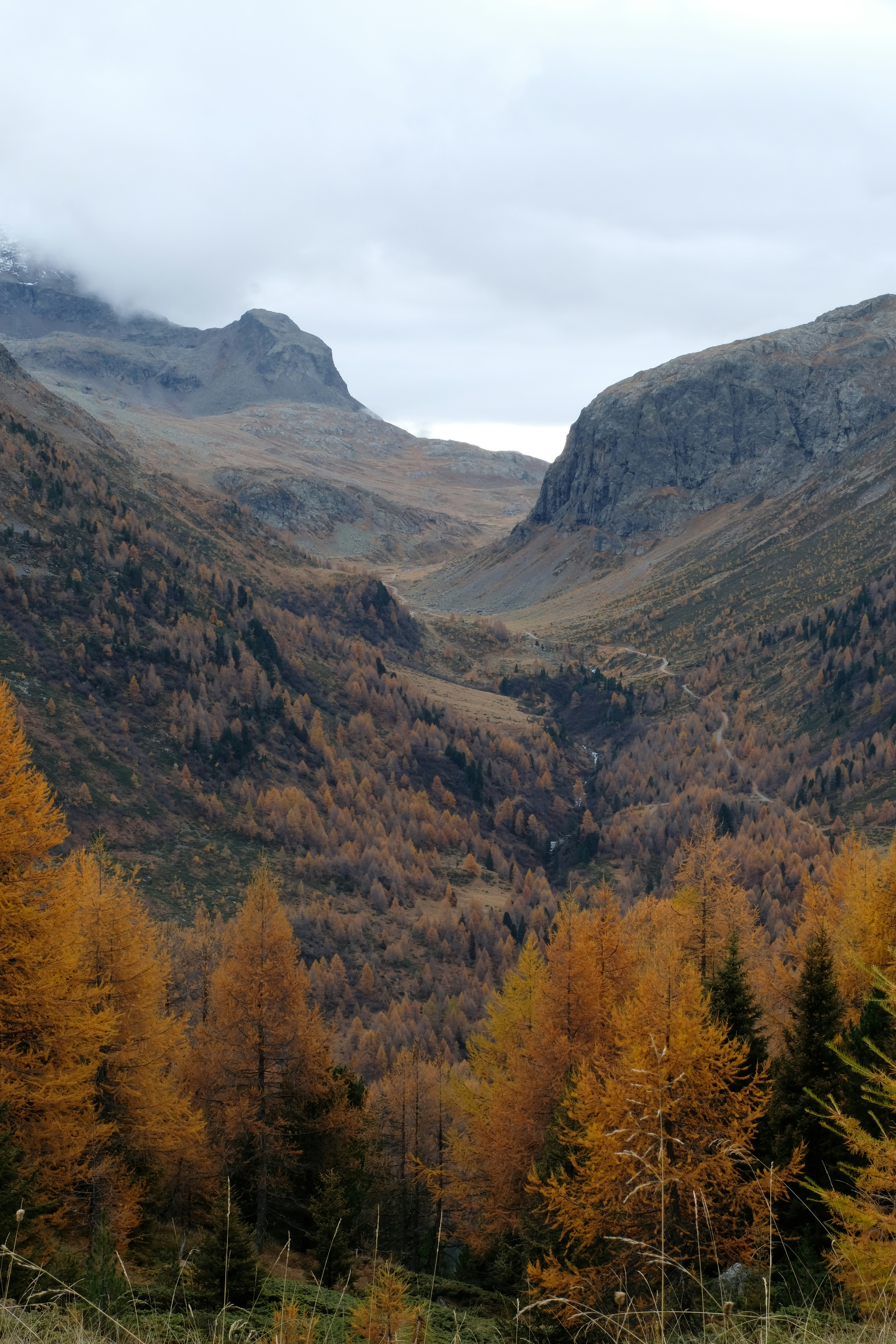 A view of a valley with mountains in the background