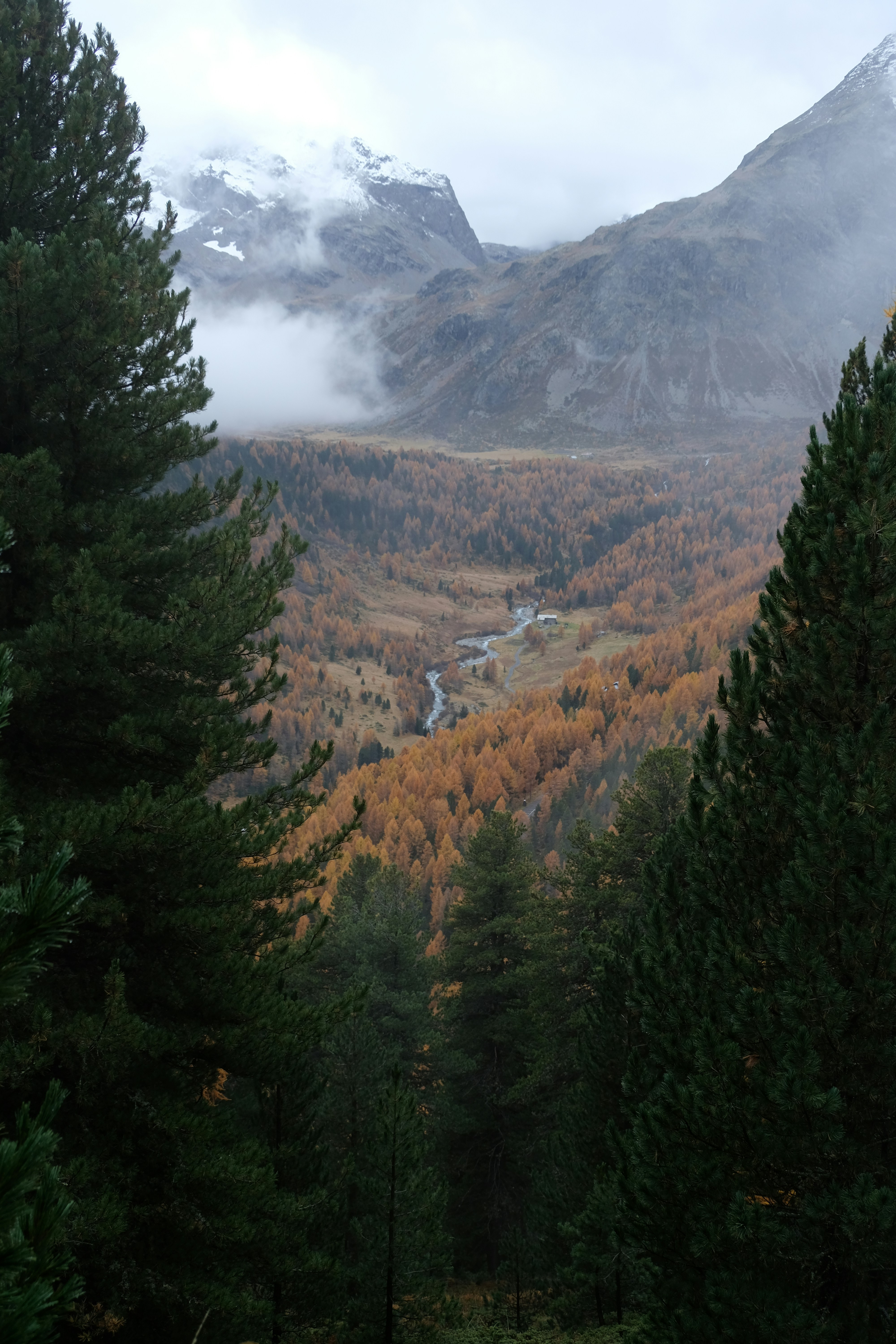 A scenic view of a mountain range with trees in the foreground