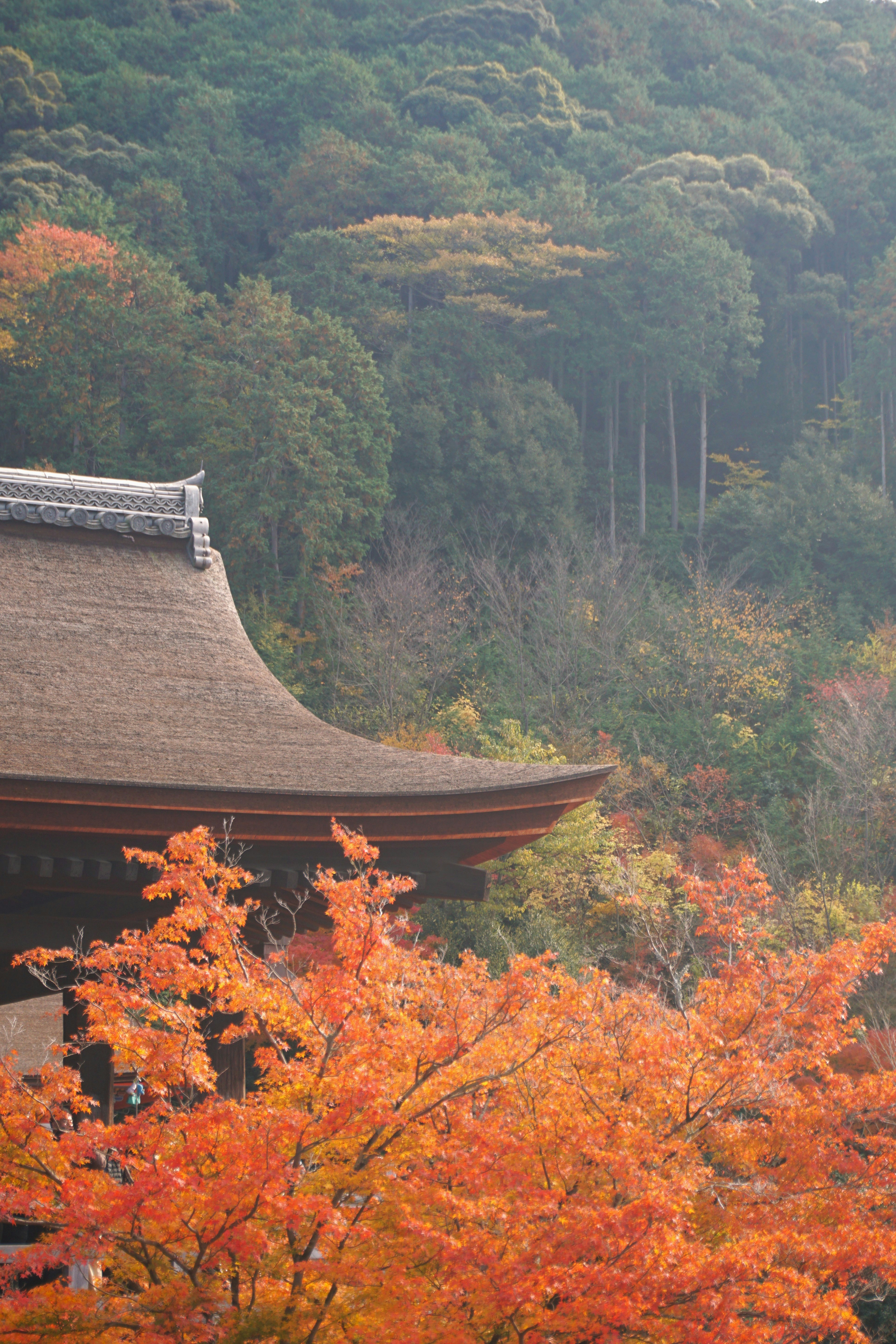 Photo by syadzasalsabyla