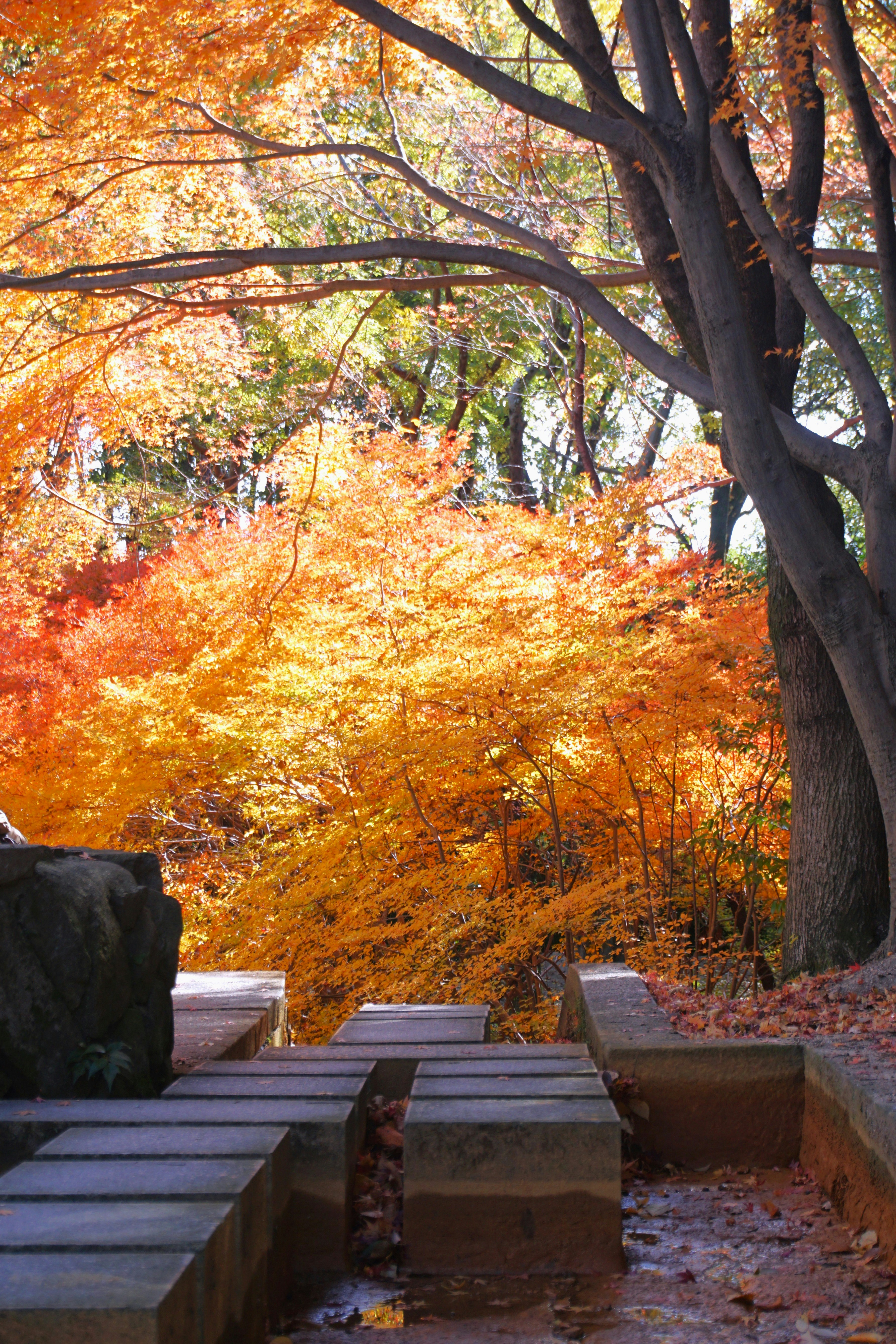 Photo by syadzasalsabyla