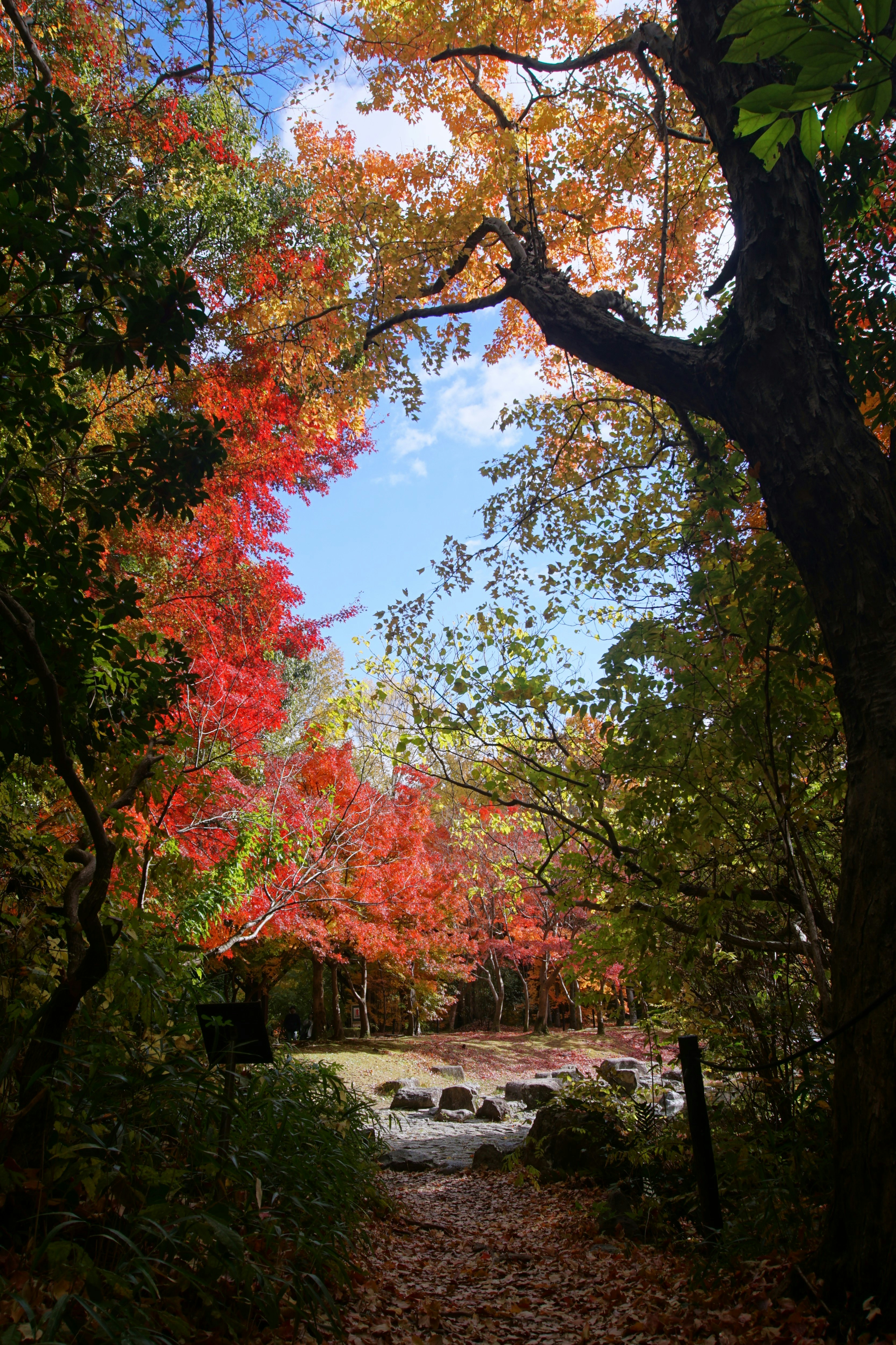 Photo by syadzasalsabyla