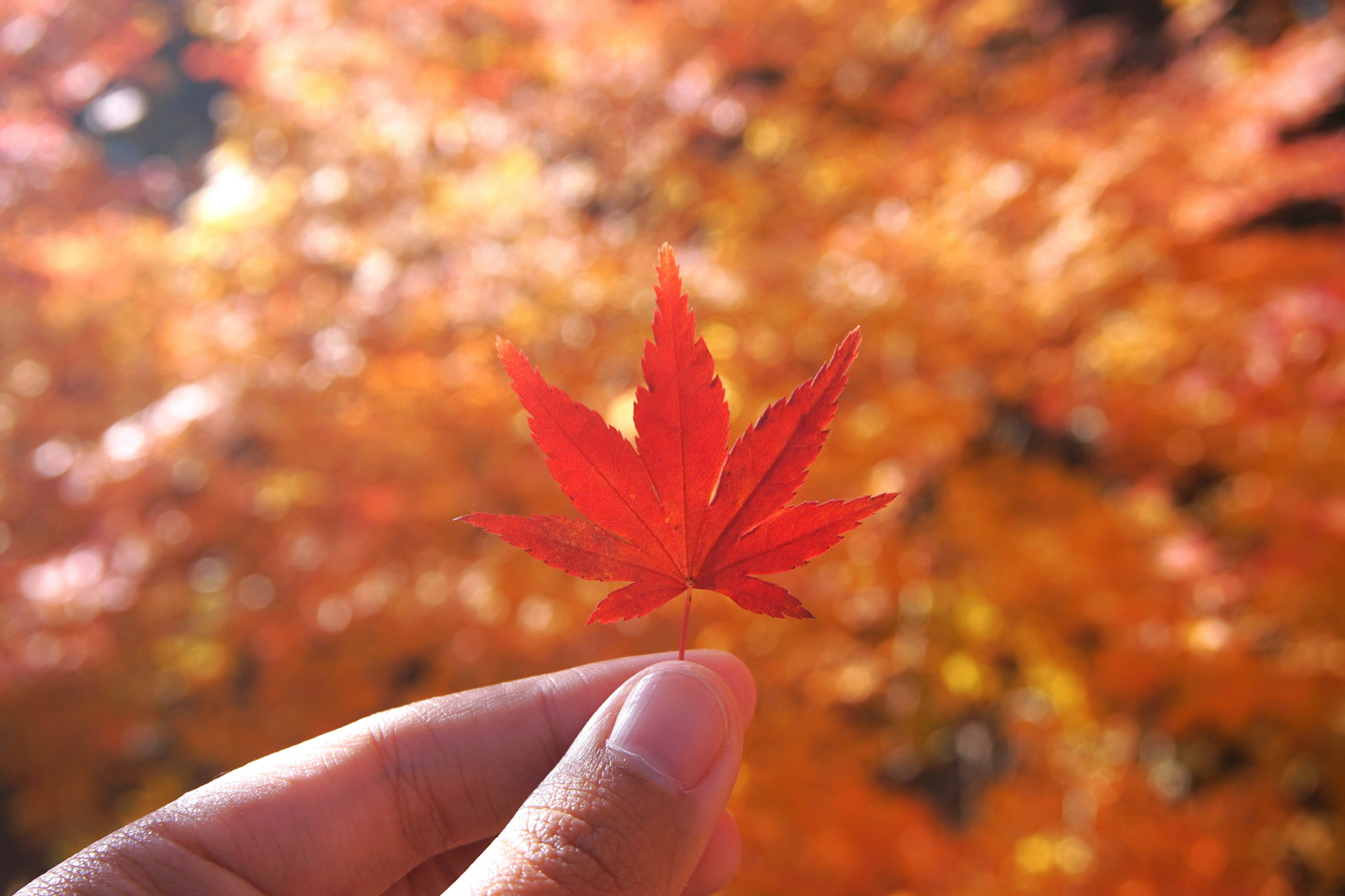 Photo by syadzasalsabyla