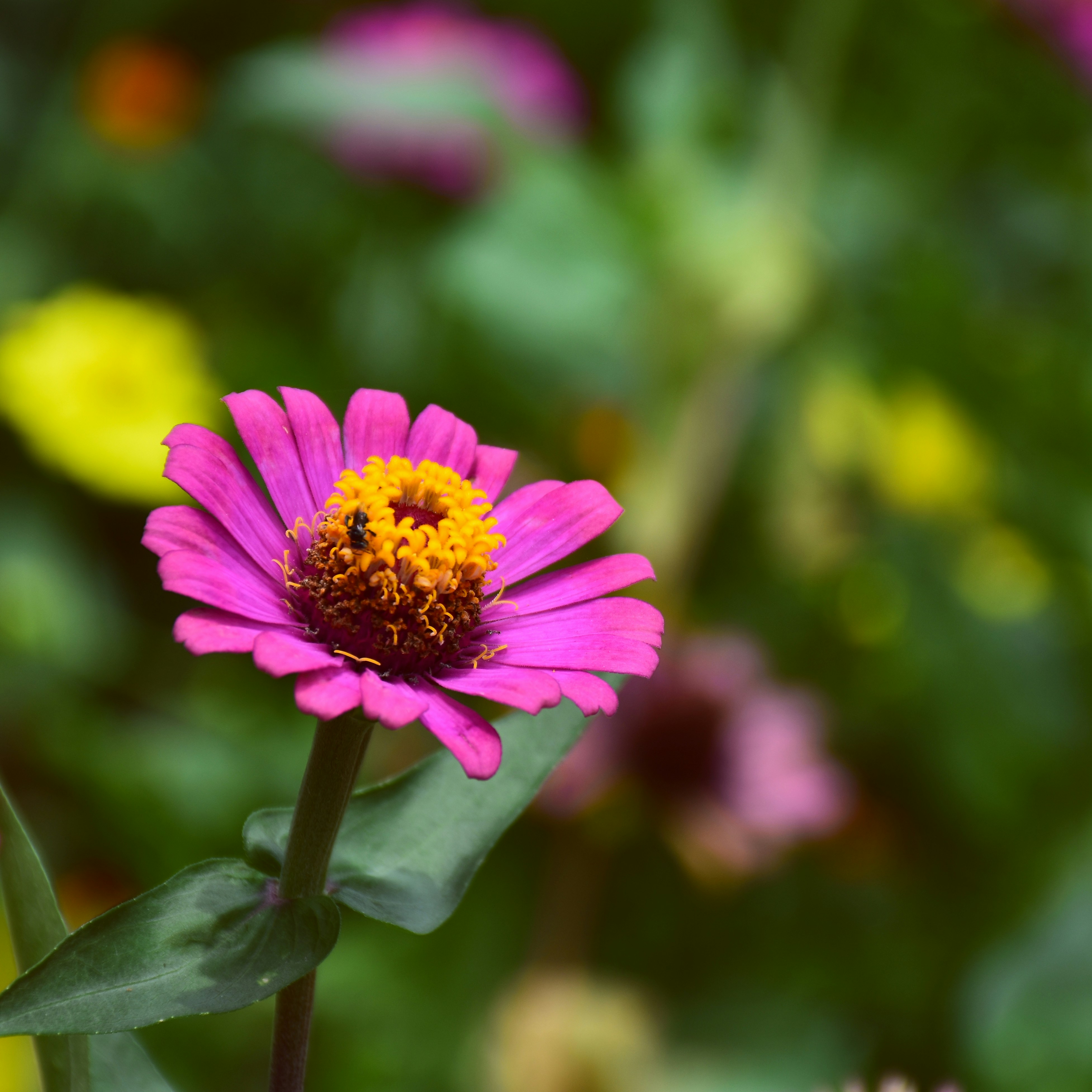 Photo by trunghung0106