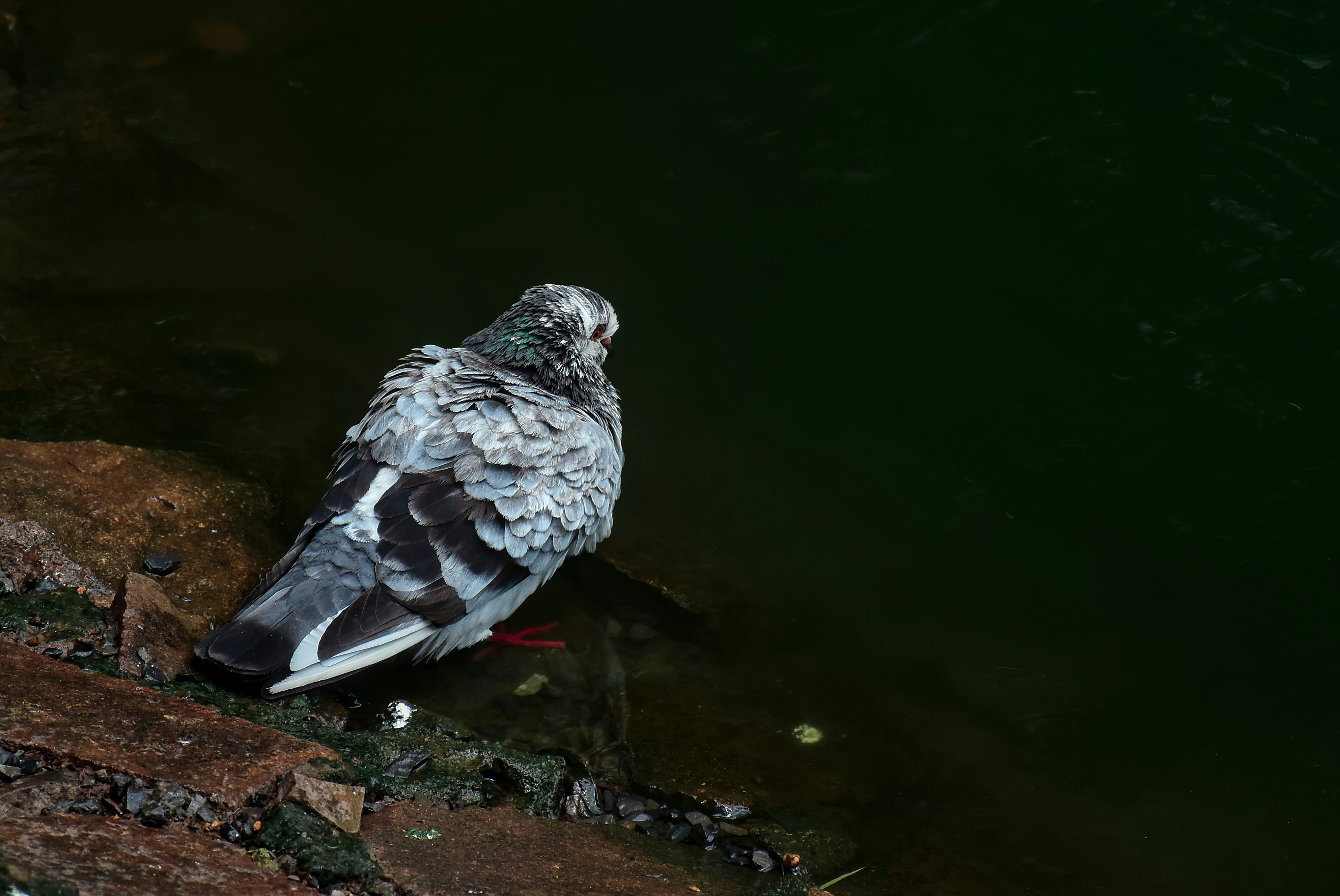 Photo by trunghung0106