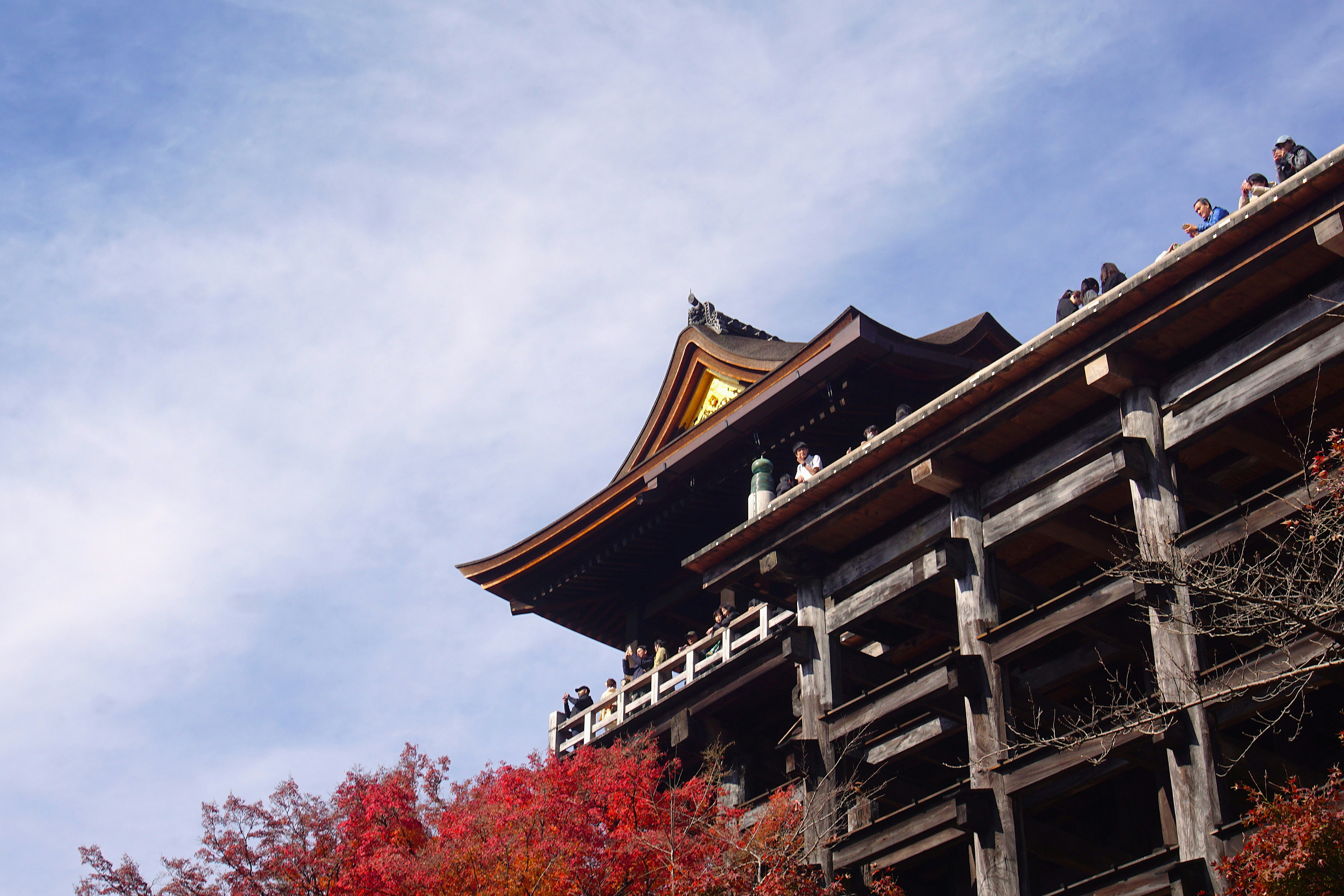 Photo by syadzasalsabyla