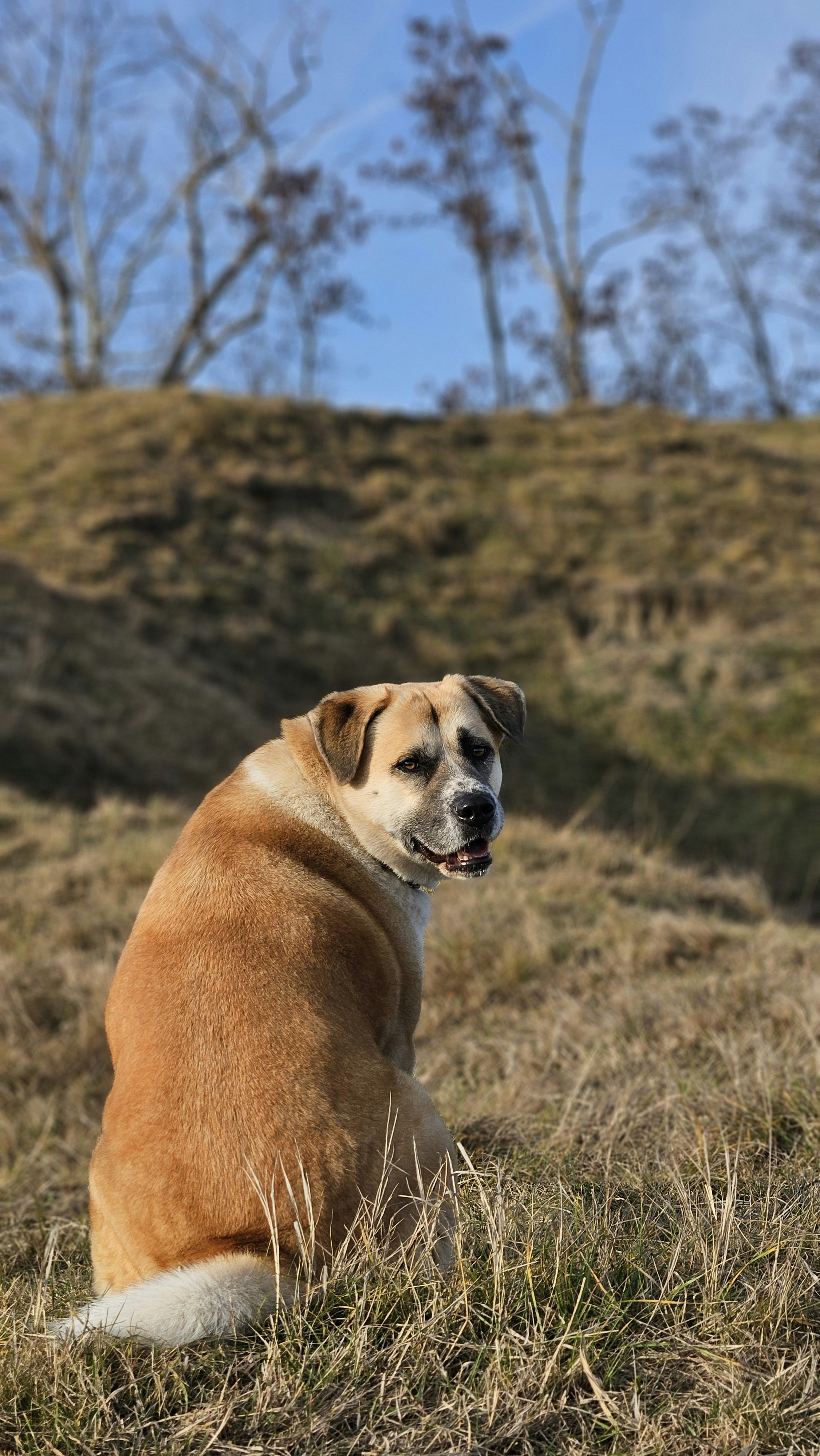 Photo by marjorylucabaxter