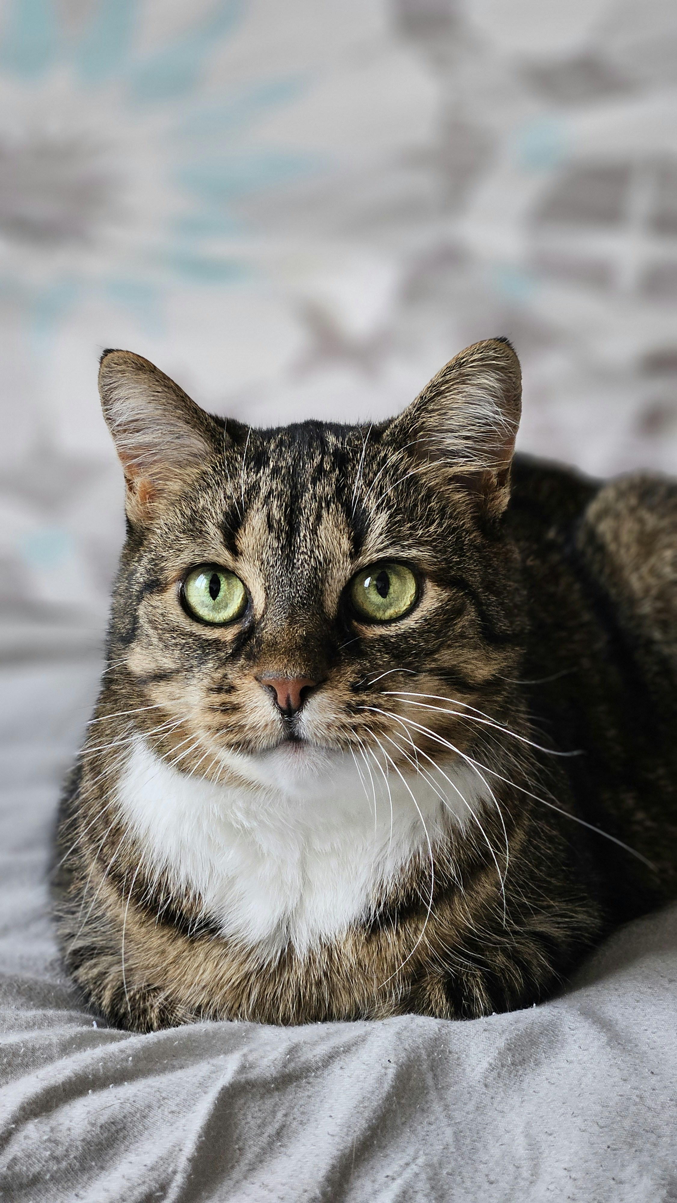 Photo by marjorylucabaxter