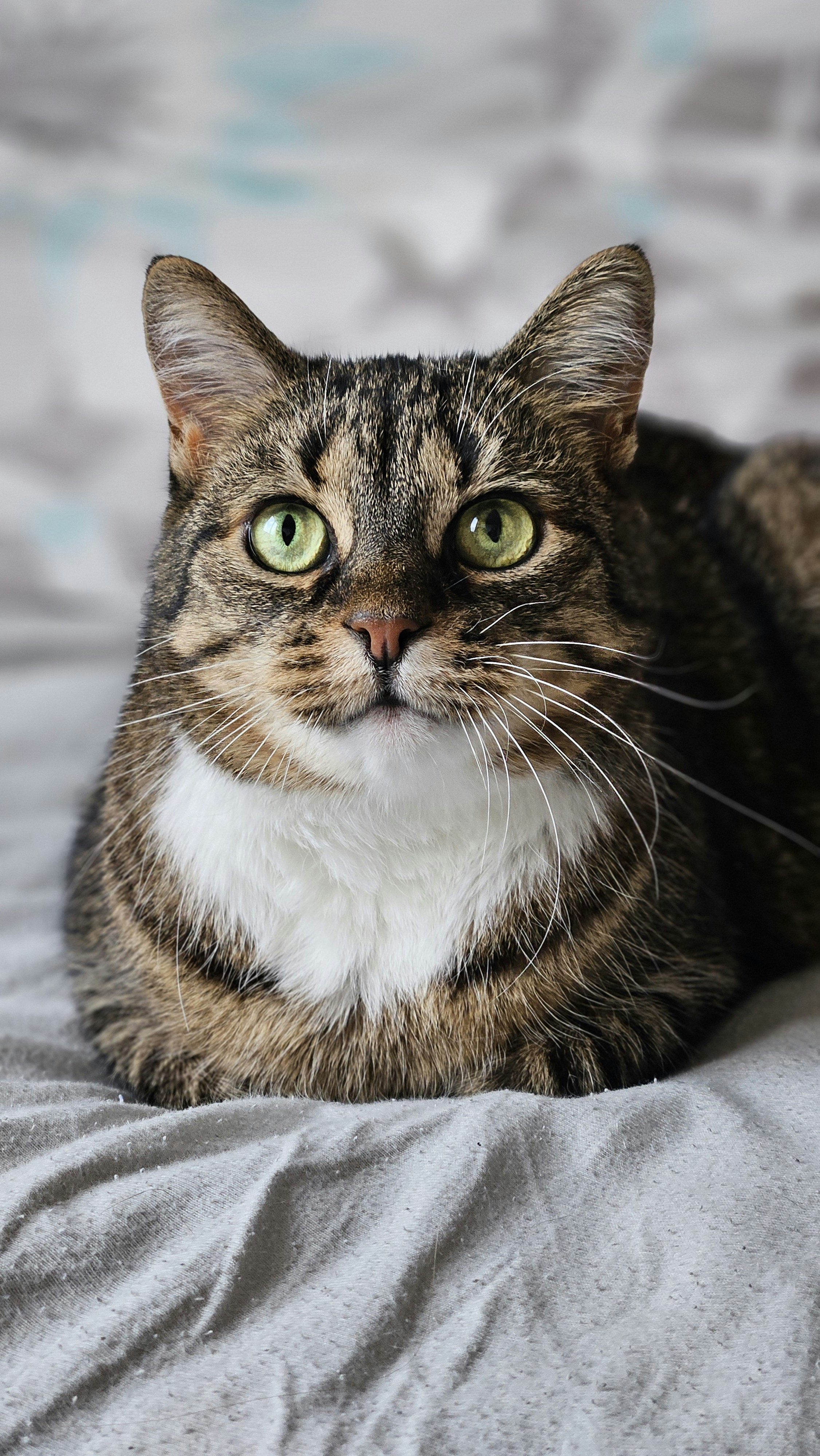 Photo by marjorylucabaxter