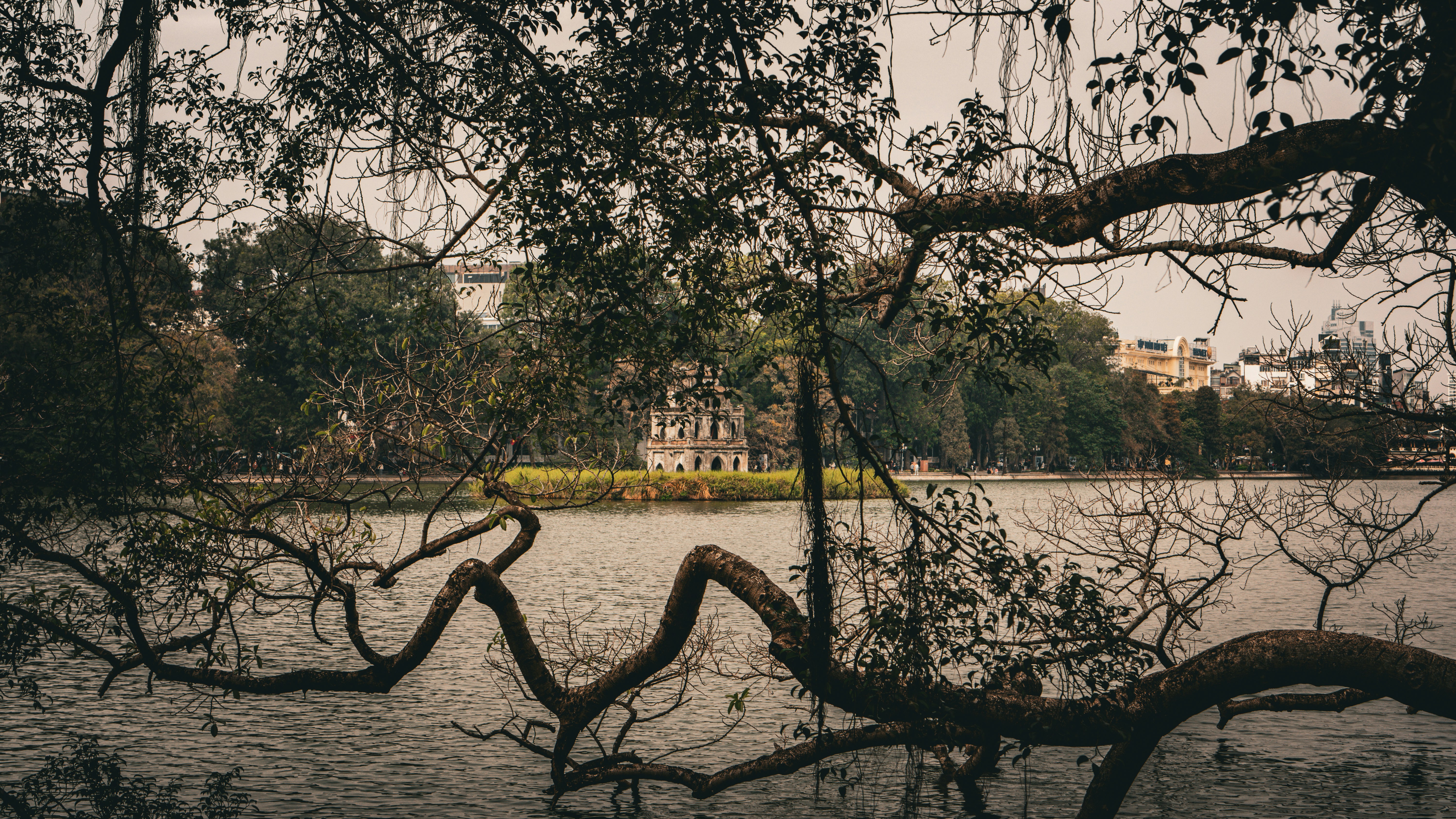 Photo by daniilk