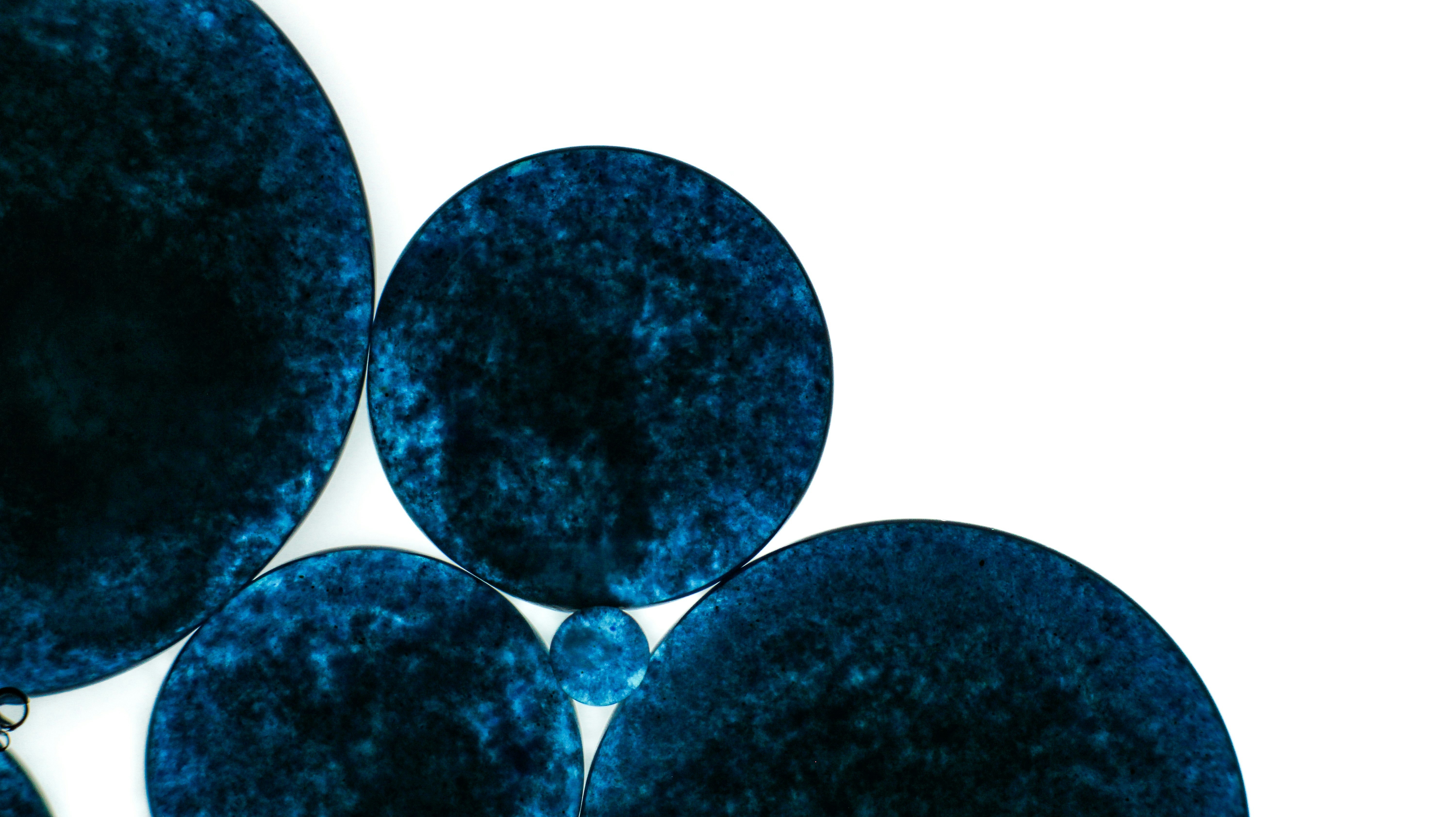 Photo by susan_wilkinson