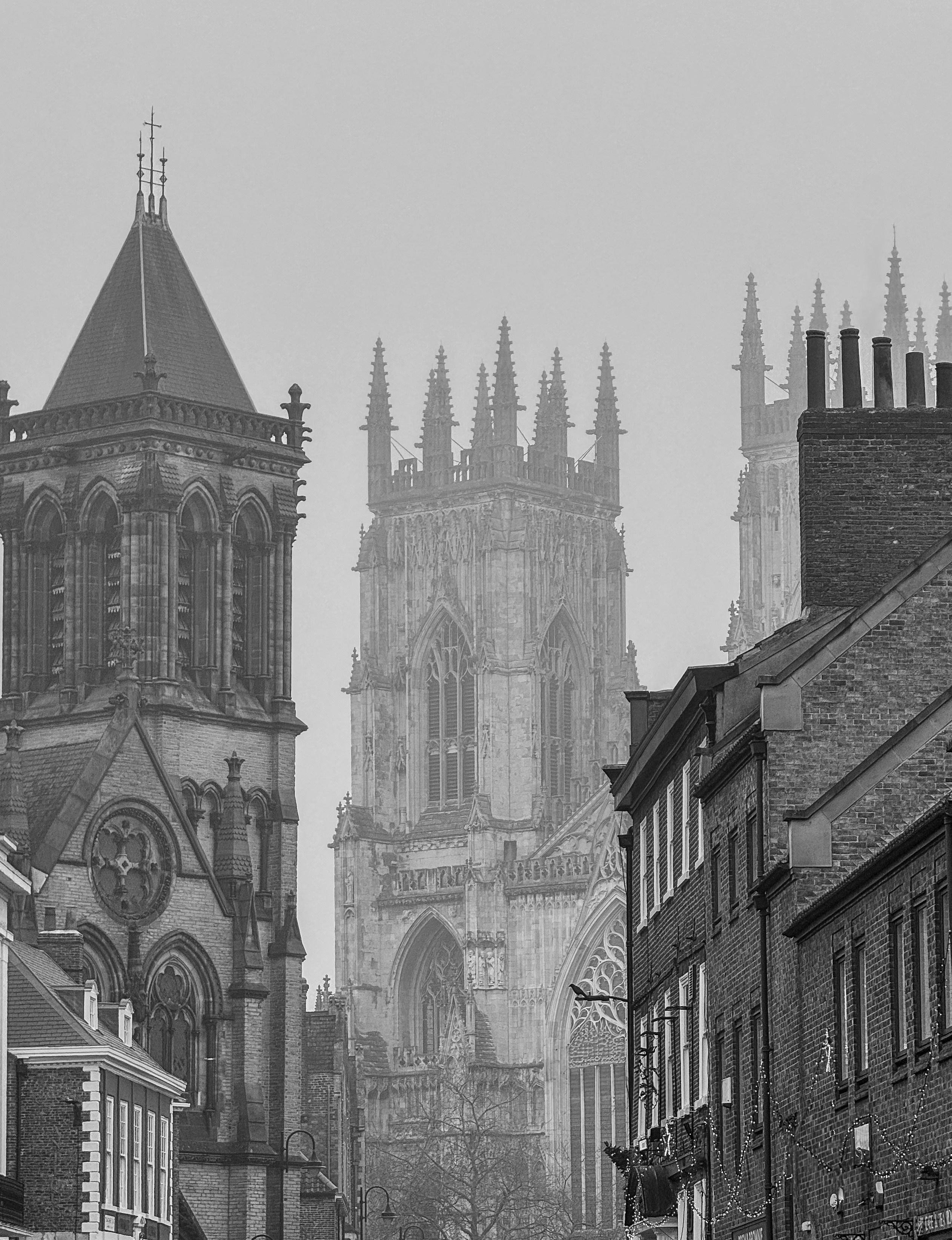 Photo by humansmadethis