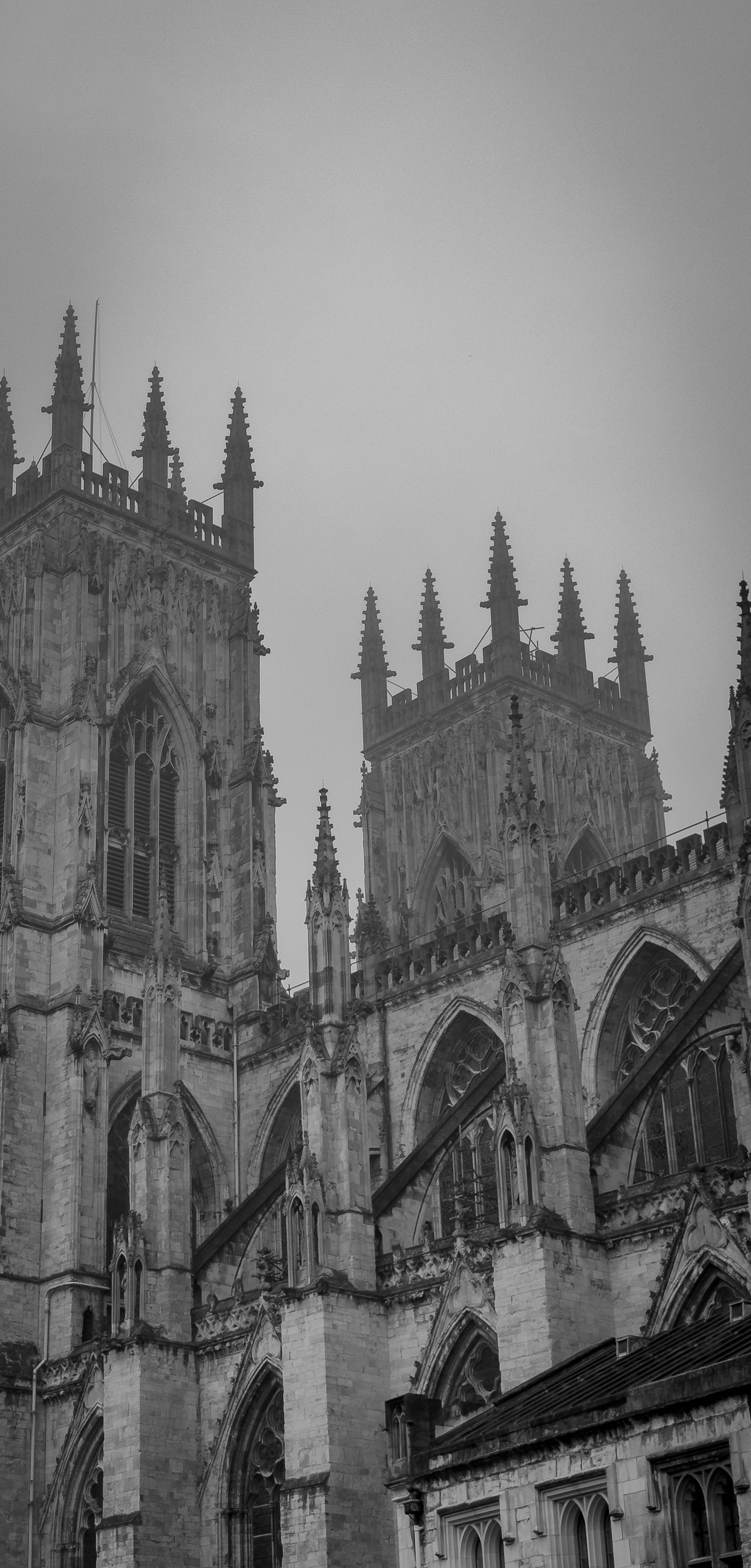 Photo by humansmadethis