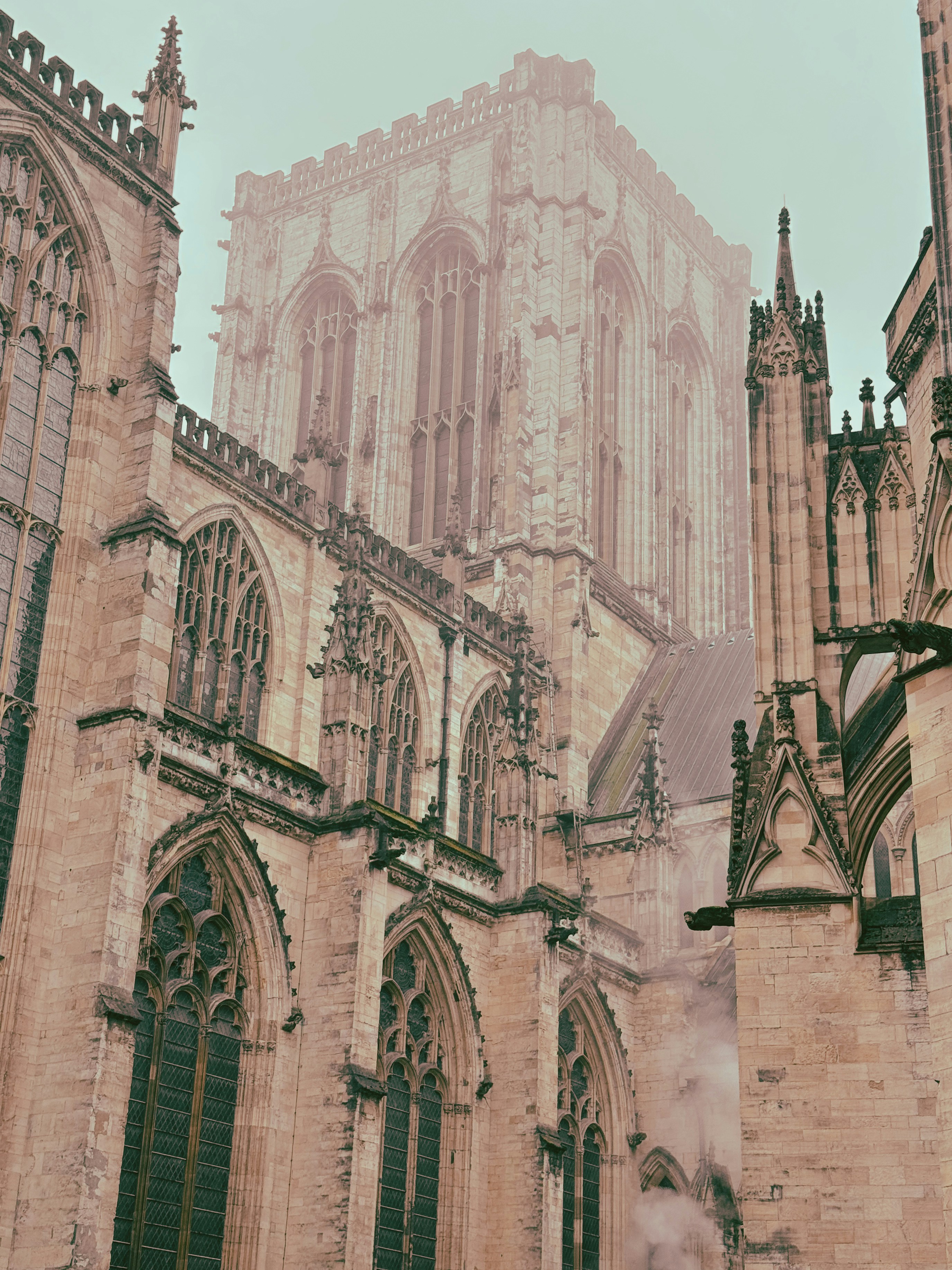 Photo by humansmadethis