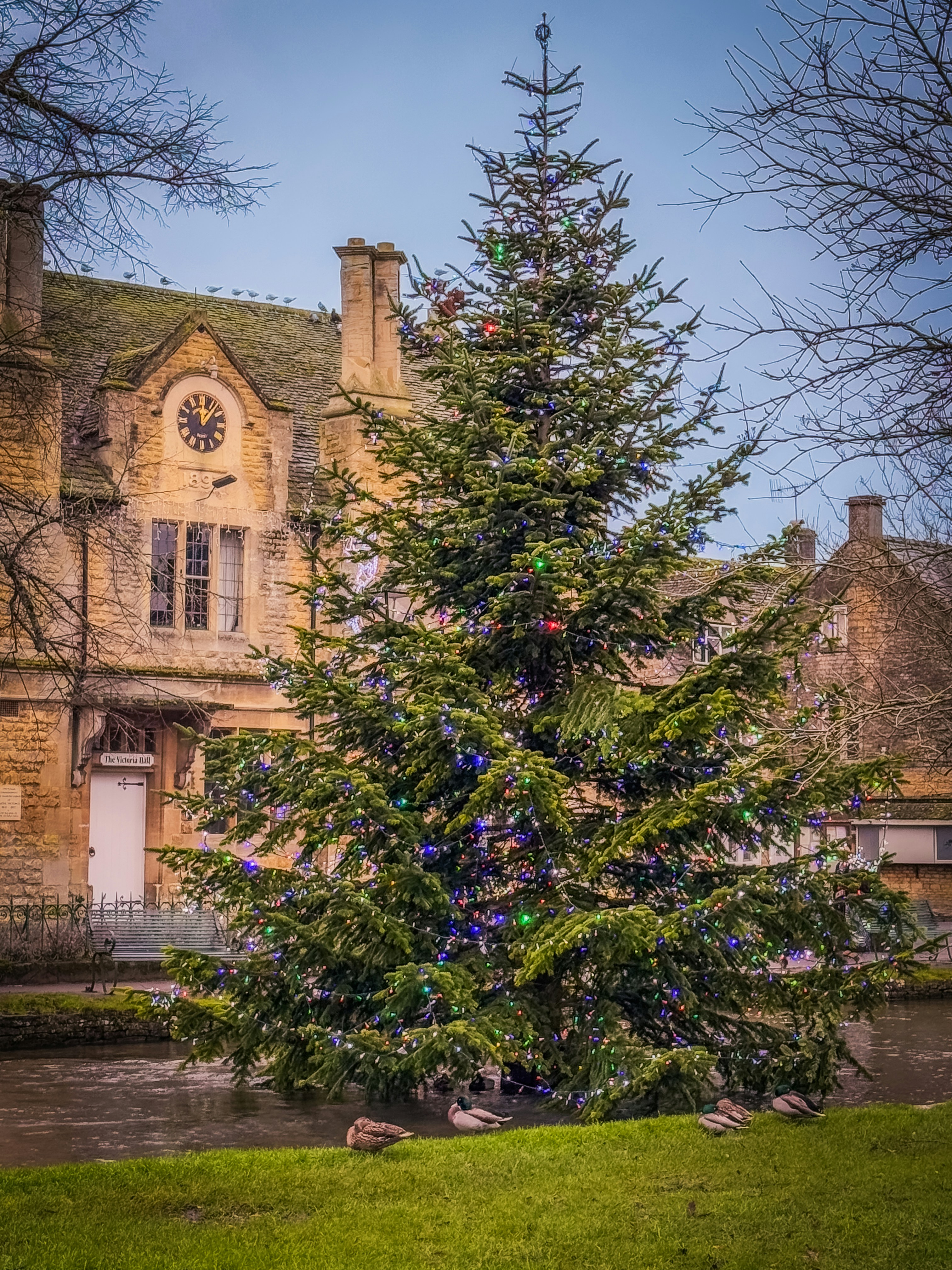 大きな建物の前にあるクリスマスツリー