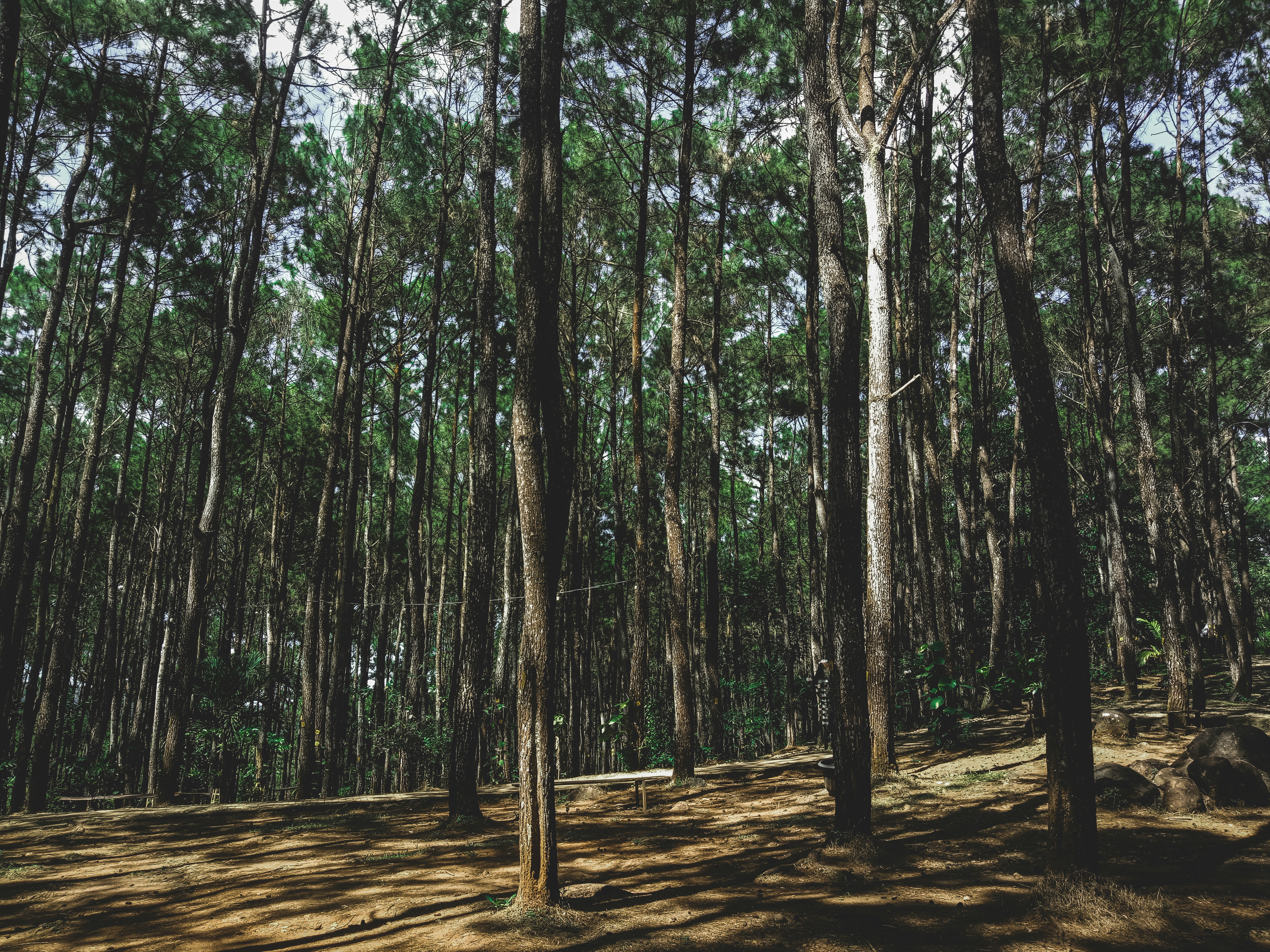 Photo by daffa_default433