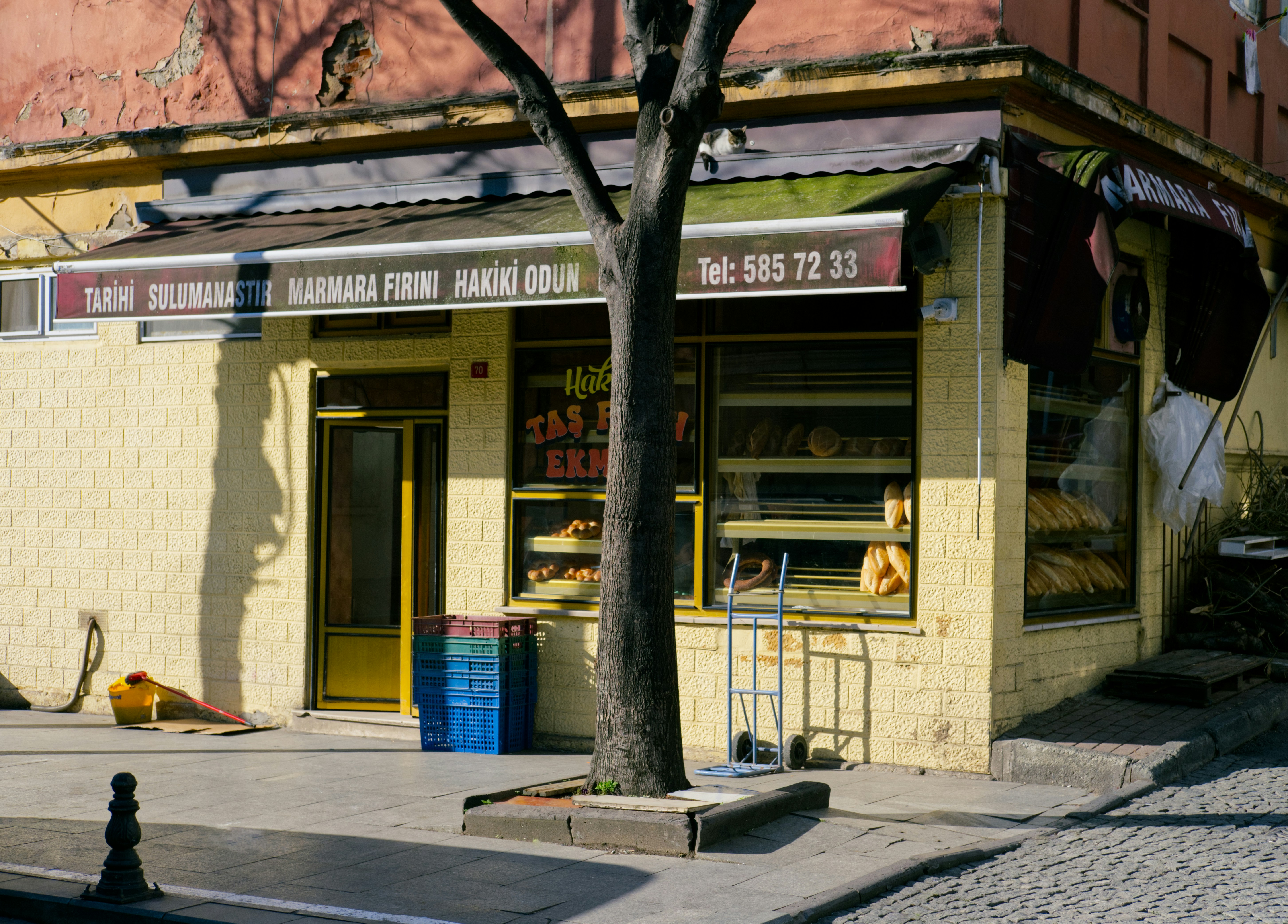 Yellow building with tree