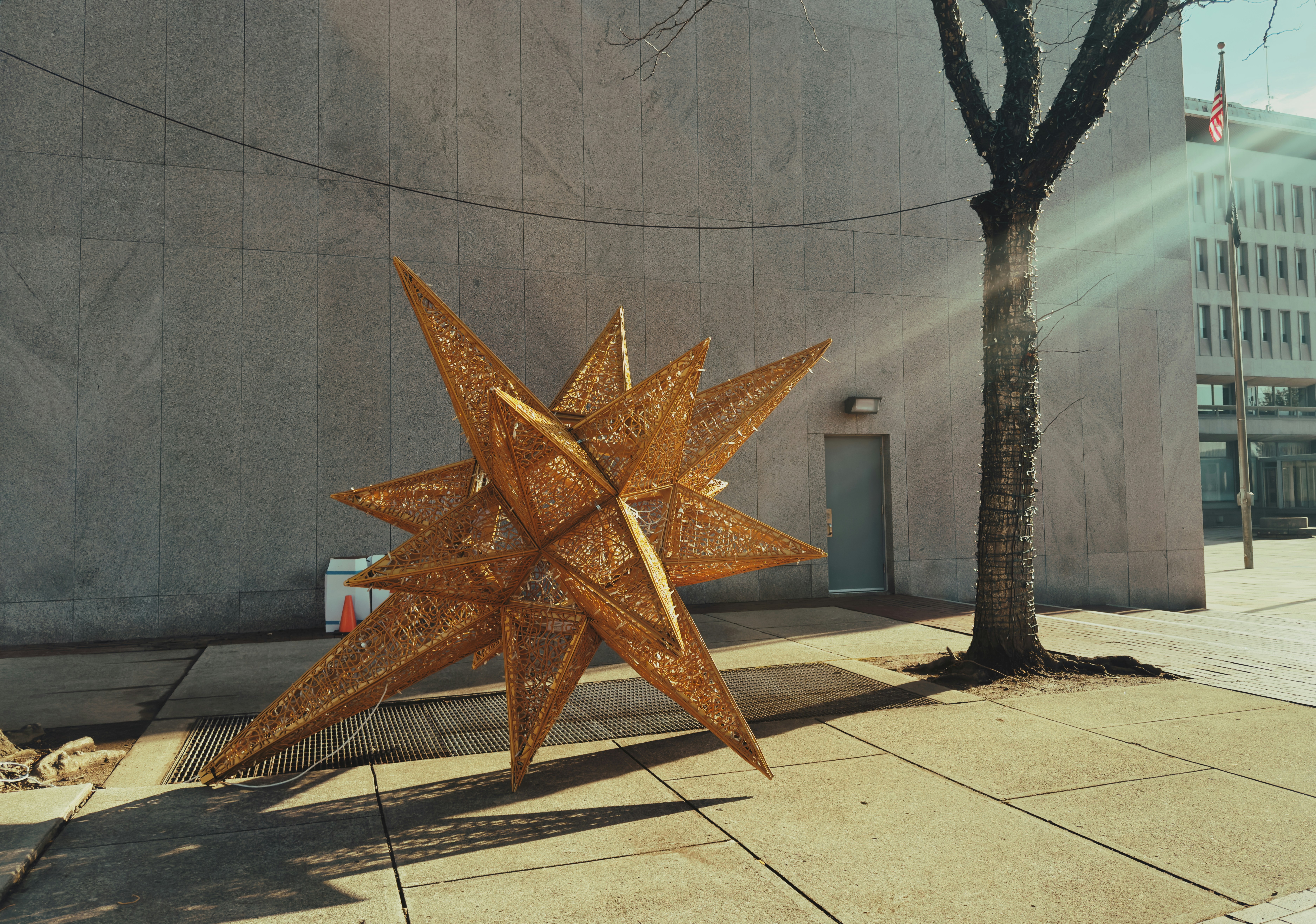 Ein großer Holzstern auf einem Bürgersteig neben einem Baum