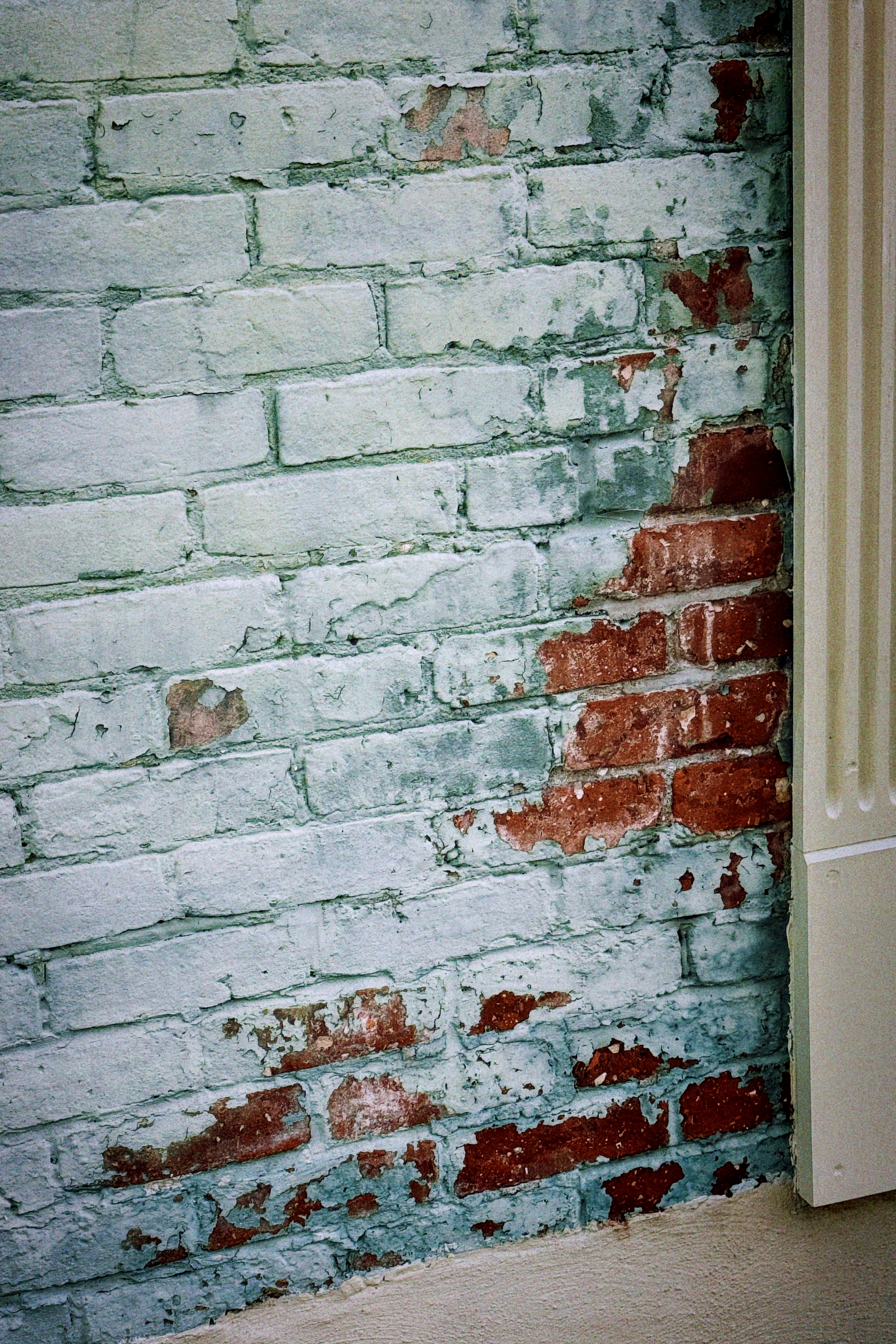 Charlotte Crawl Spaces